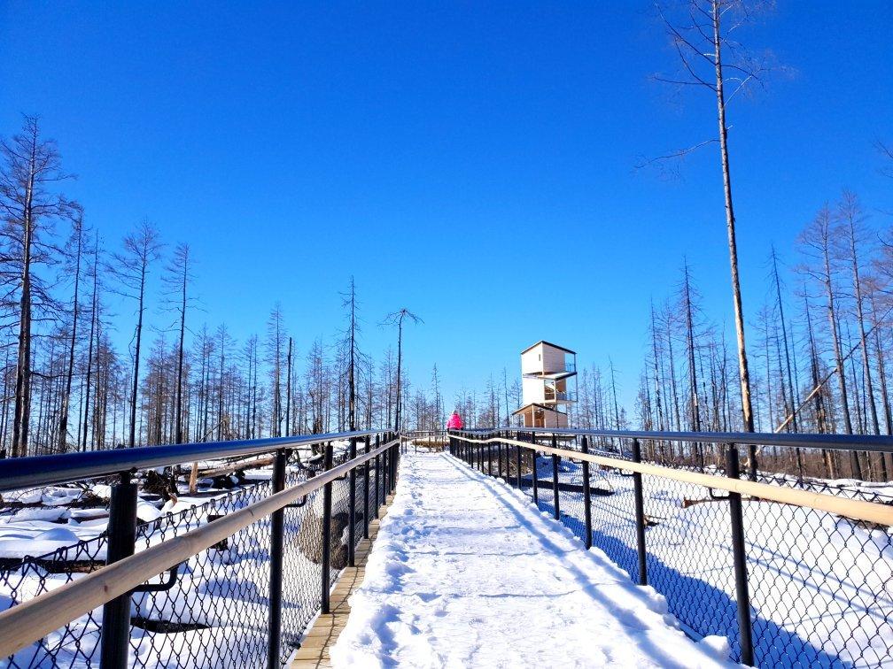 Halleskogsbrannans Naturreservat