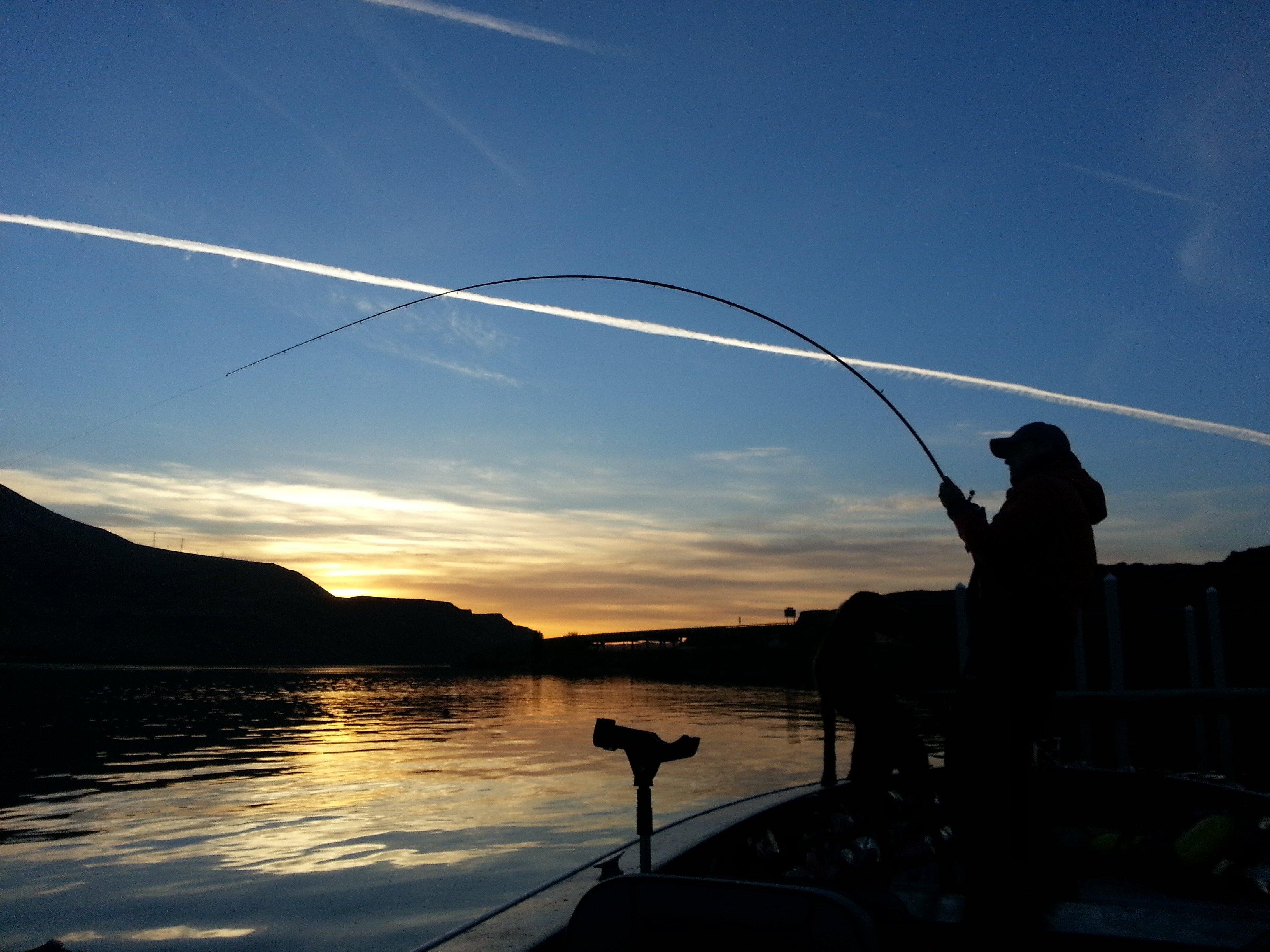 Clancy's Guided Sport Fishing