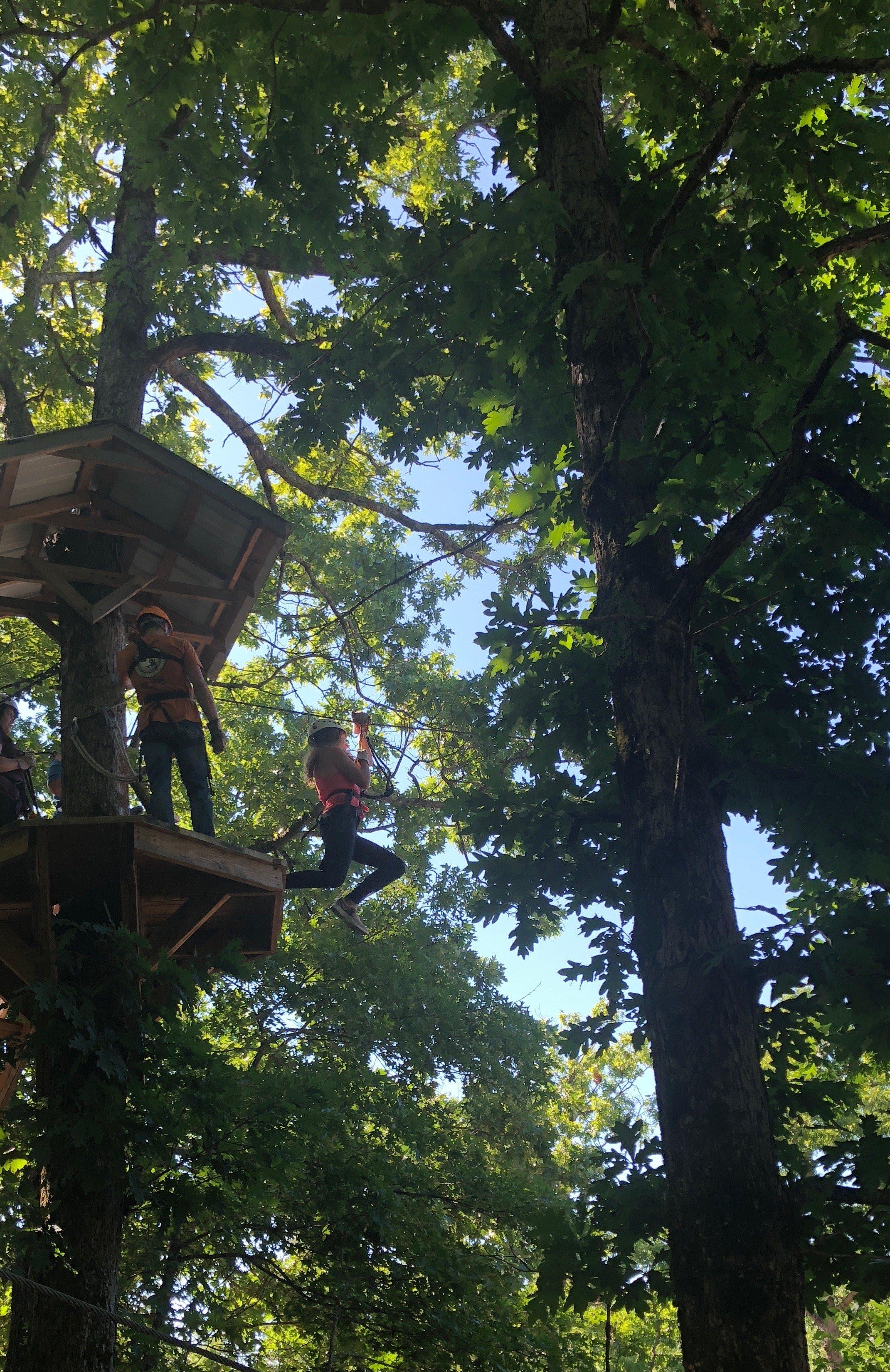 Amicalola Zipline and Aerial Adventure Park