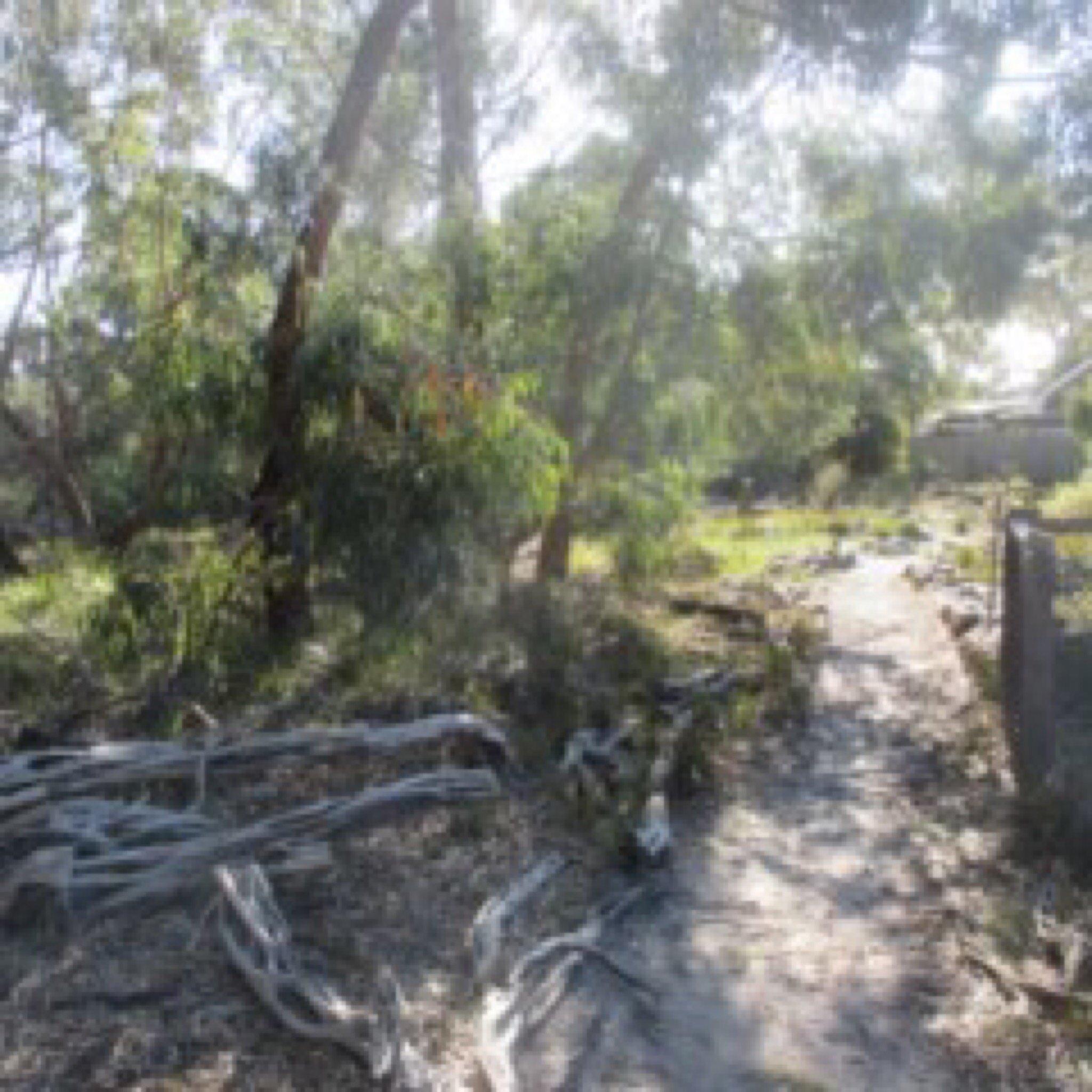 George Street Reserve