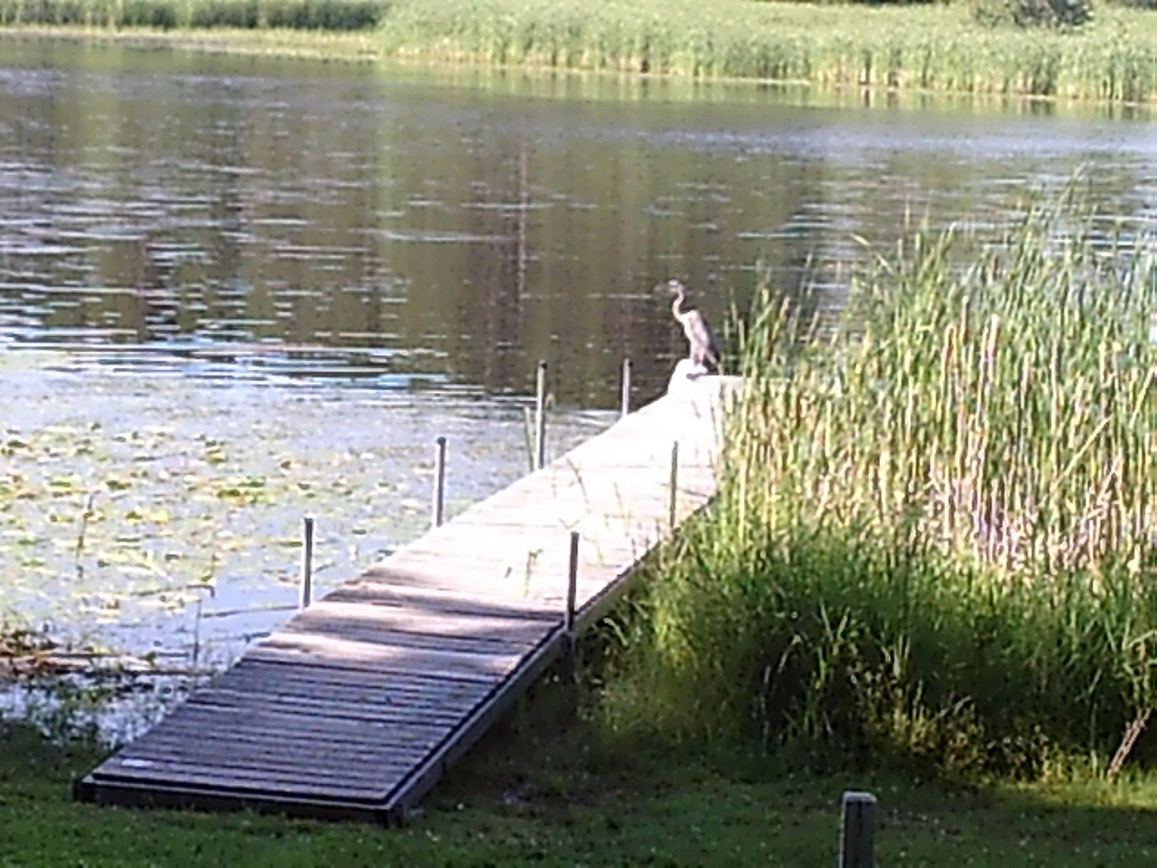 Cut Foot Sioux Resort