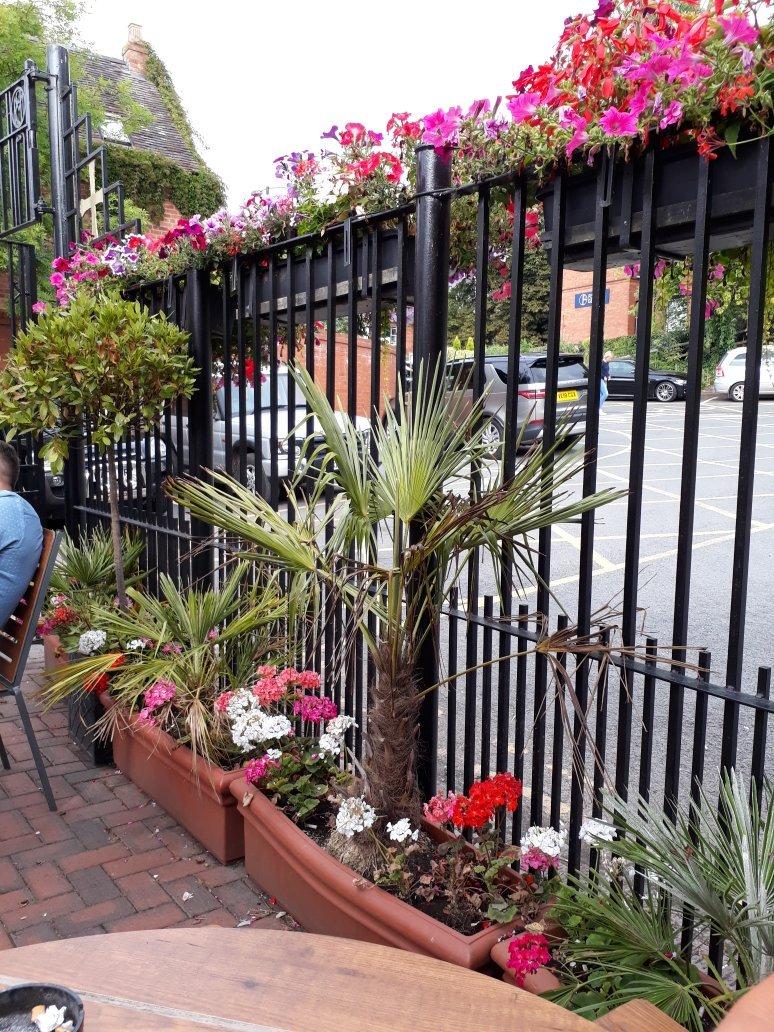 The Golden Cross Hotel