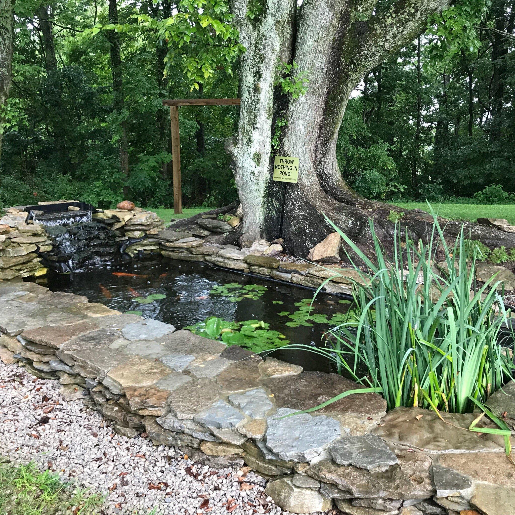 Photo by Weekend20854