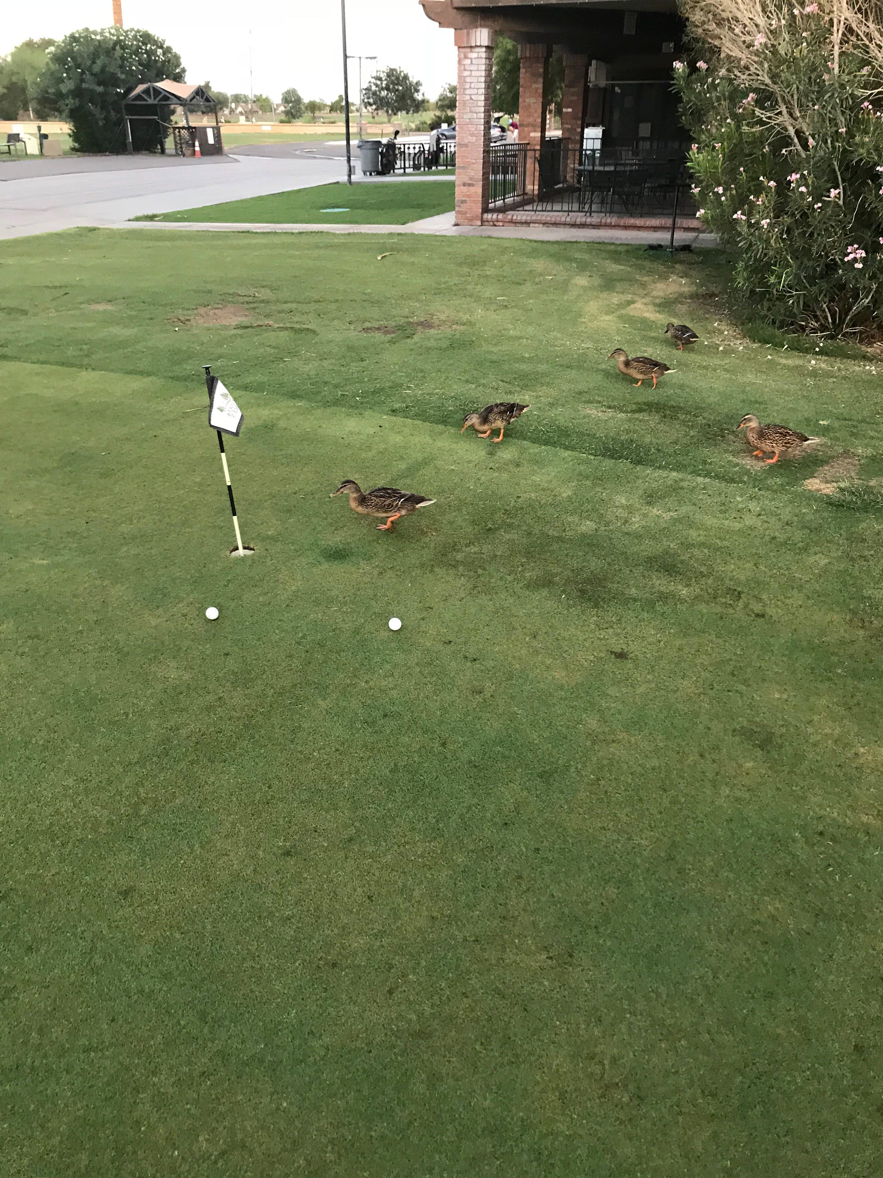 Photo by CrankyGolfer