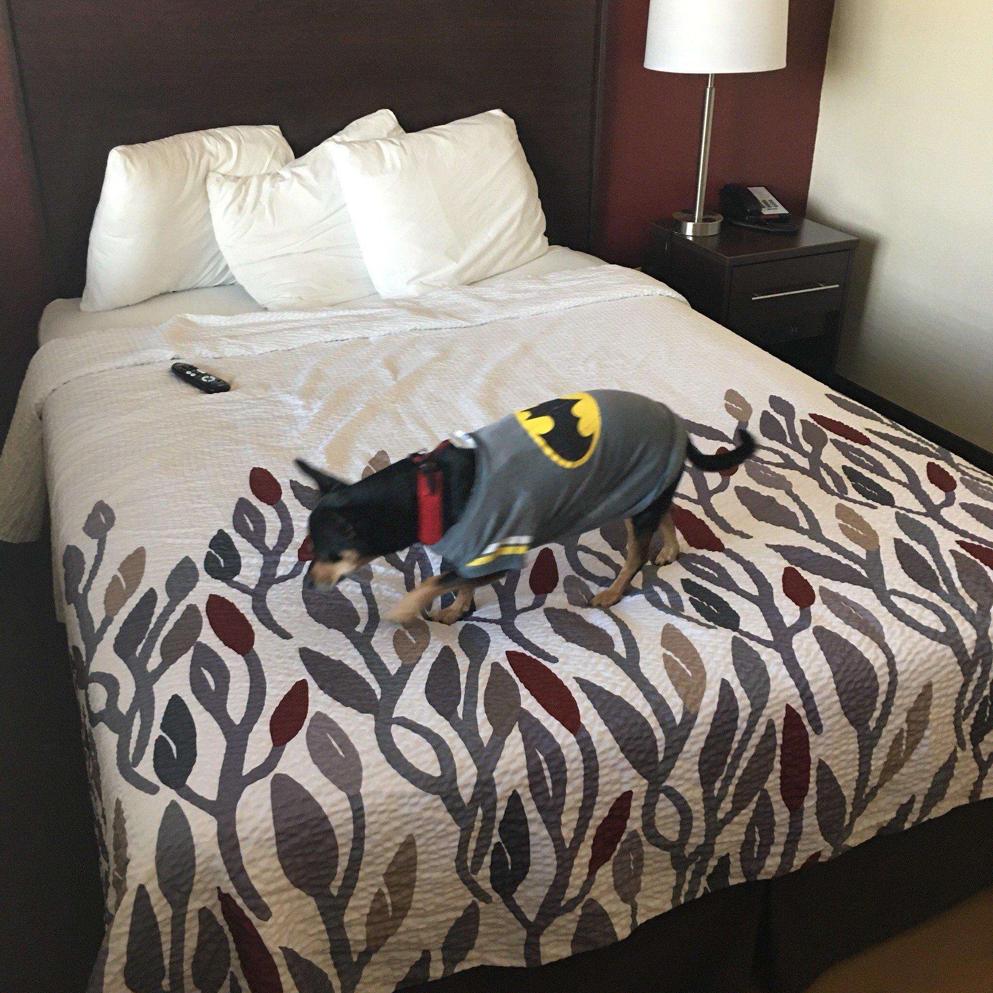 Red Roof Inn & Suites Omaha - Council Bluffs