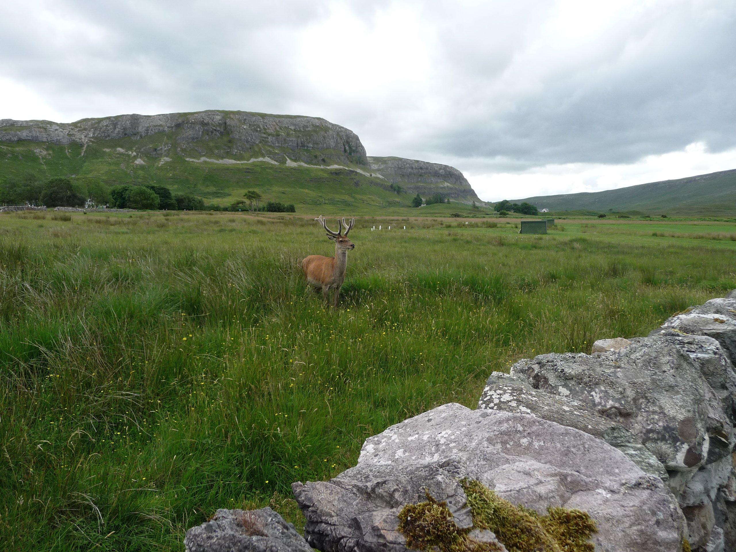 Inchnadamph Old Parish Church Mausoleum