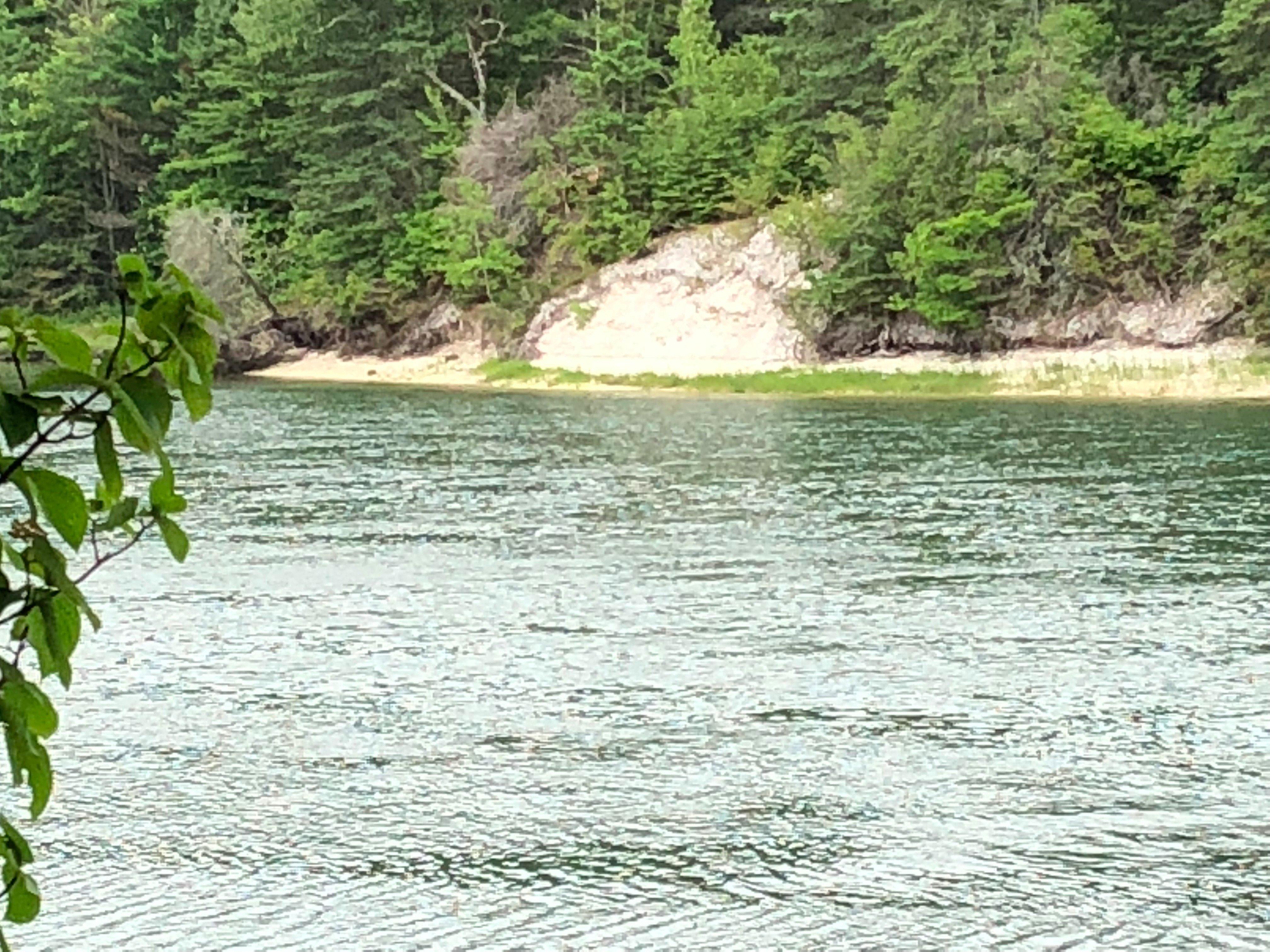 Whaleback Shell Midden State Historic Site