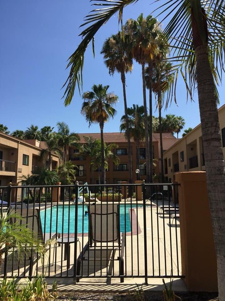 Photo by Bridgetpianos