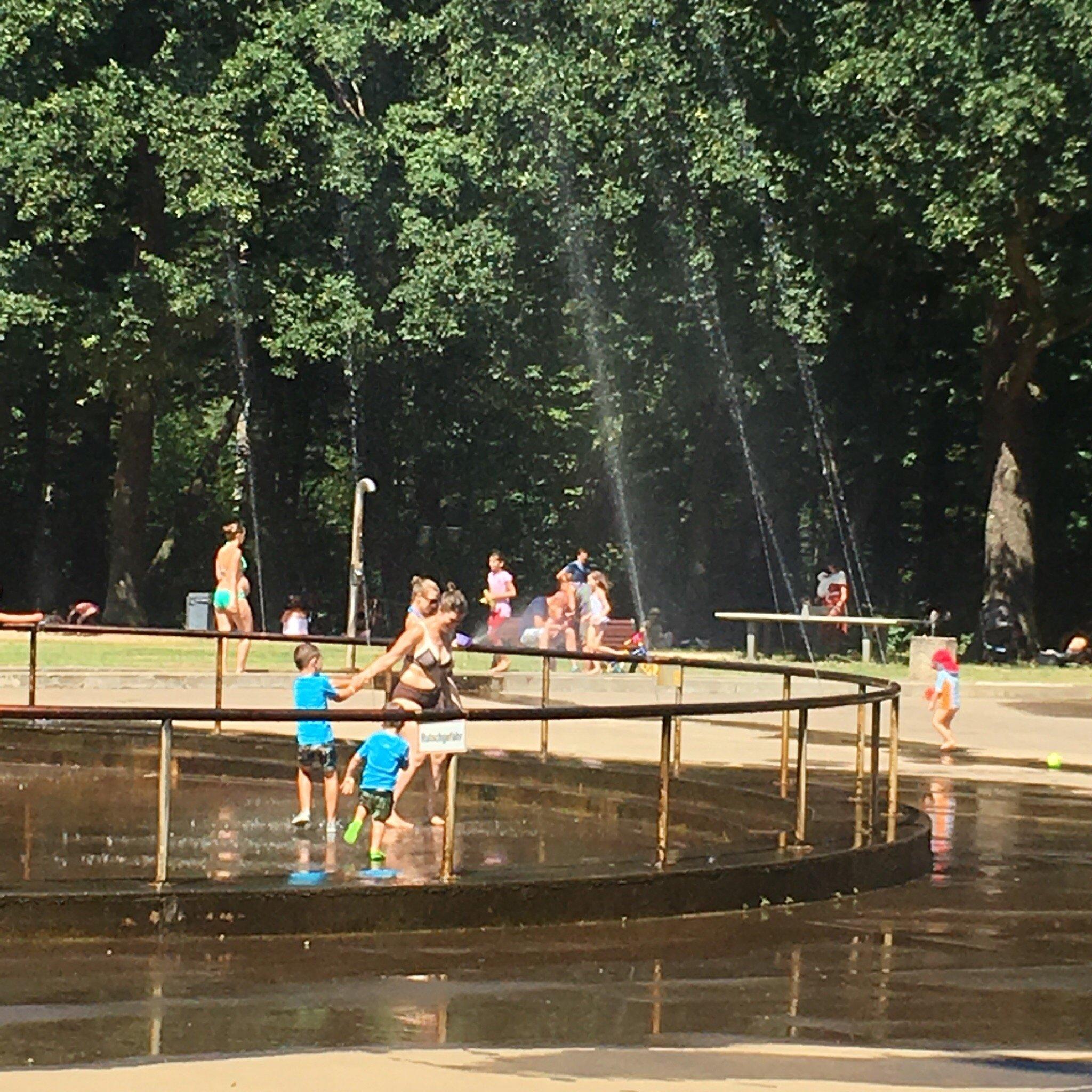 Plansche - Planterwald