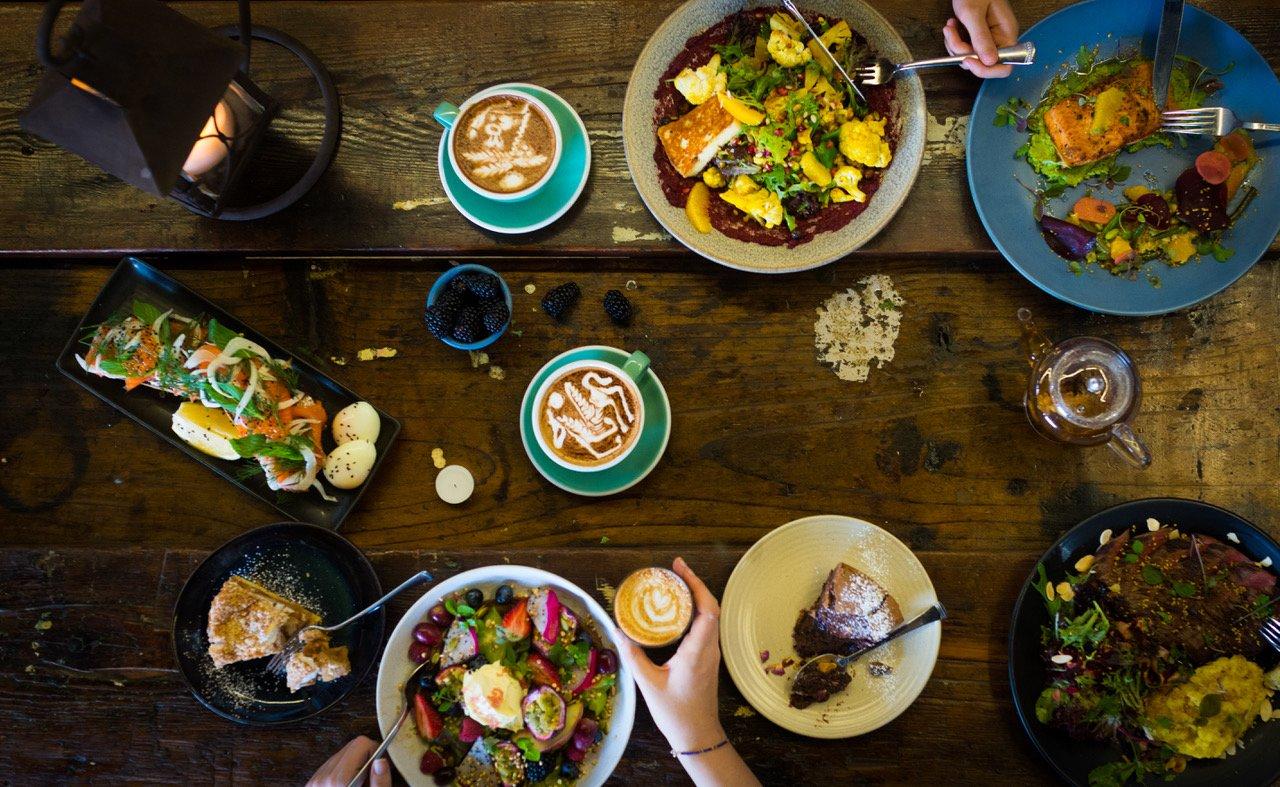 The Lion and Buffalo