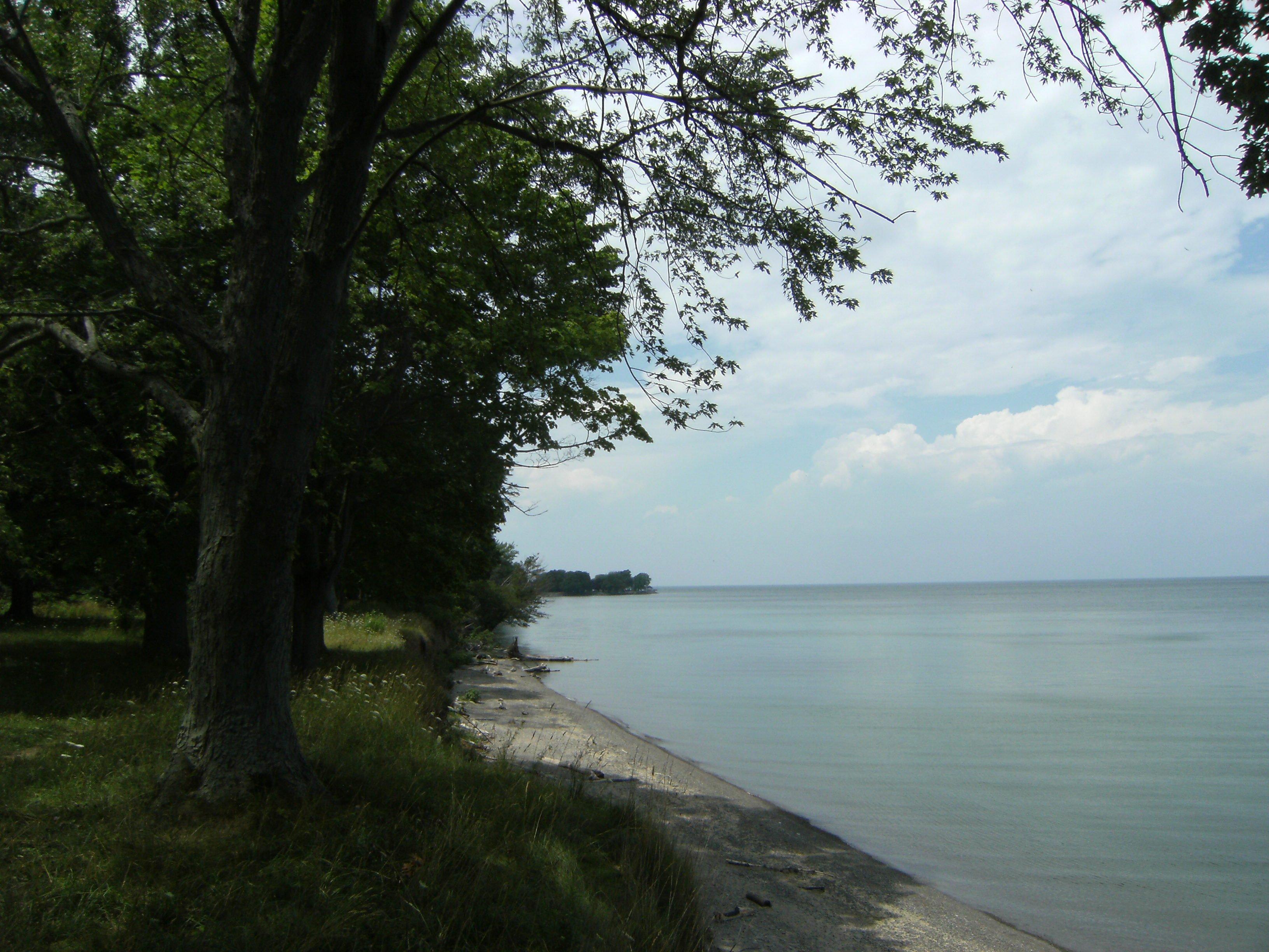 Ruscom Shores Conservation Area