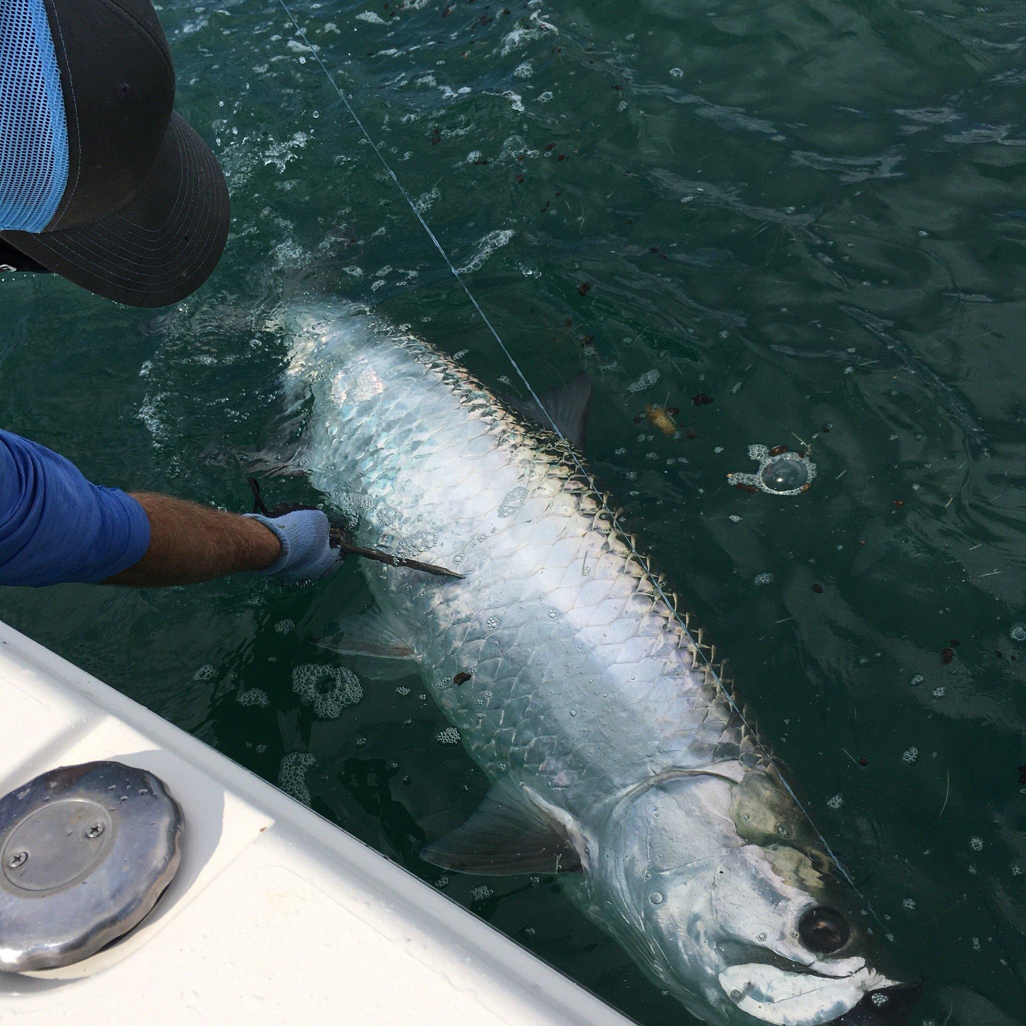 Photo by cathy_cawthon