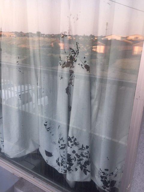 Suburban Studios Pueblo North