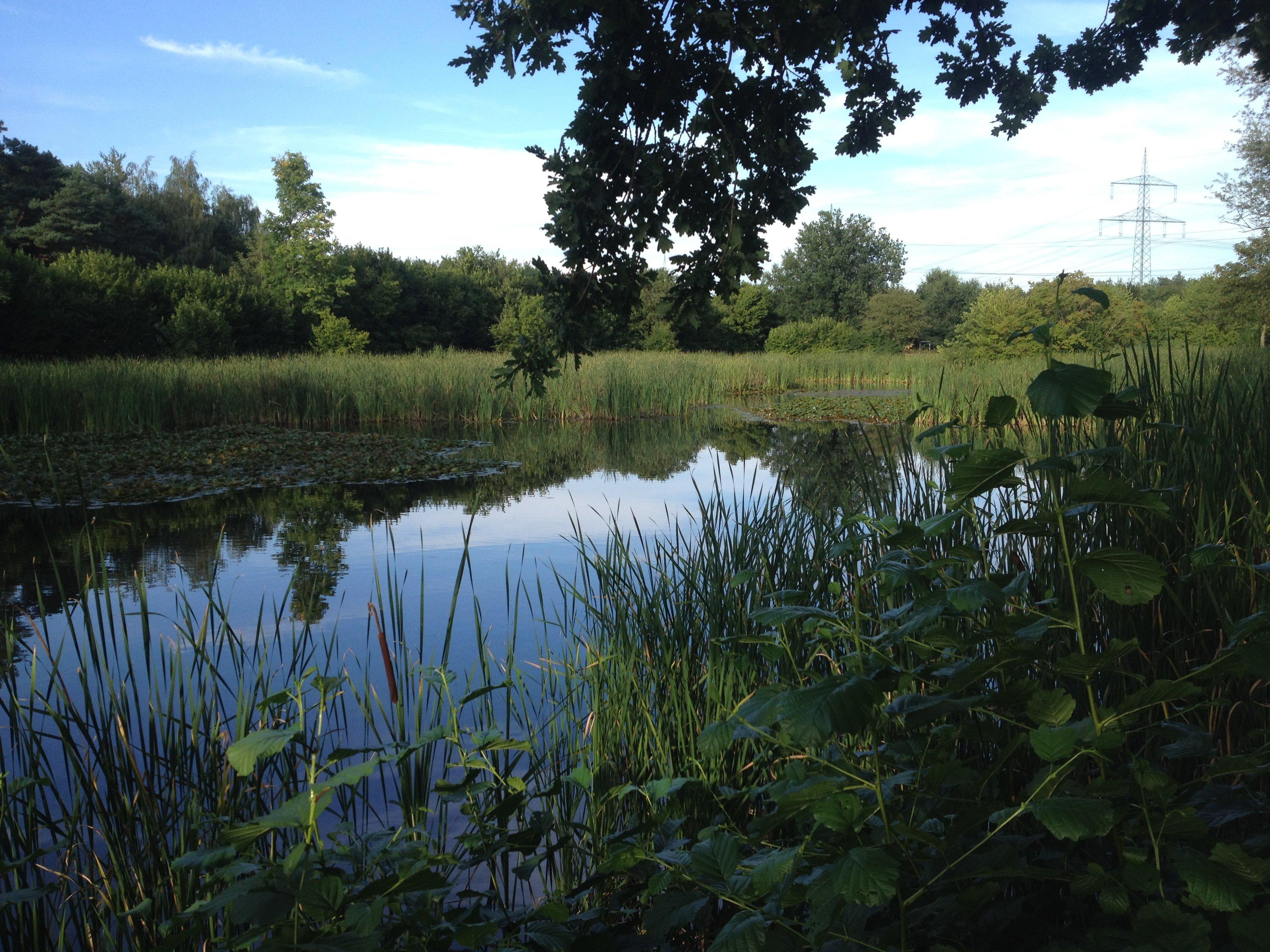 Naherholungsgebiet Seewoog