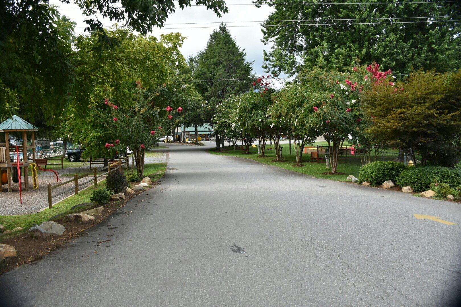 Photo by Tennessee50plus