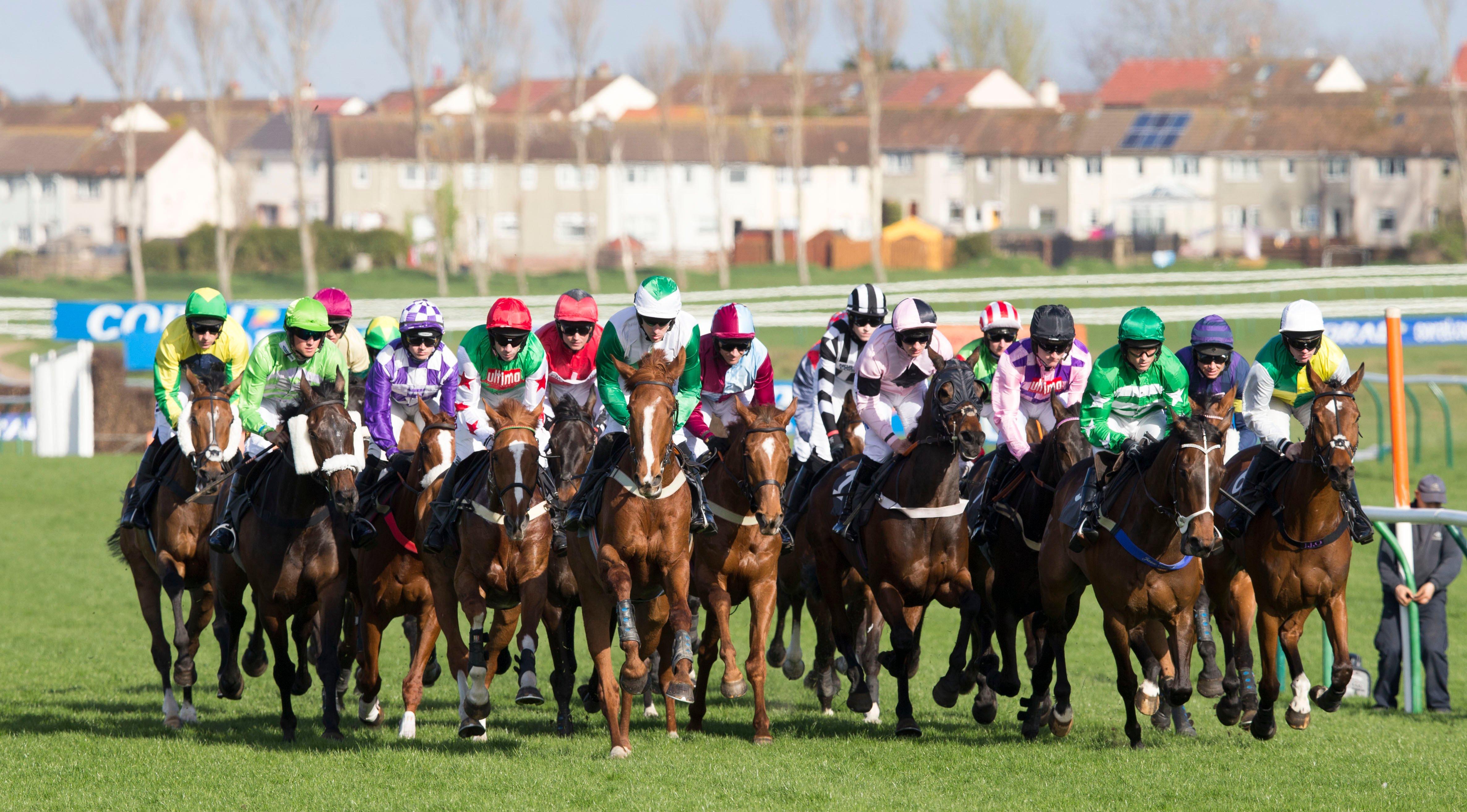 The Races at Ayr Racecourse