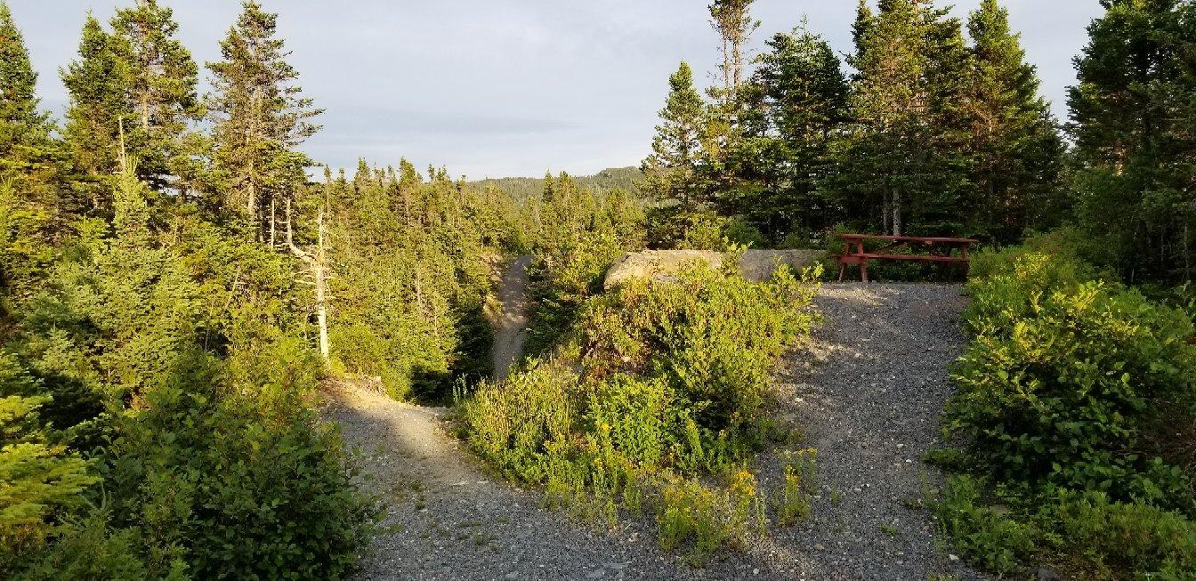 Jimmy Rowe Walking Trail