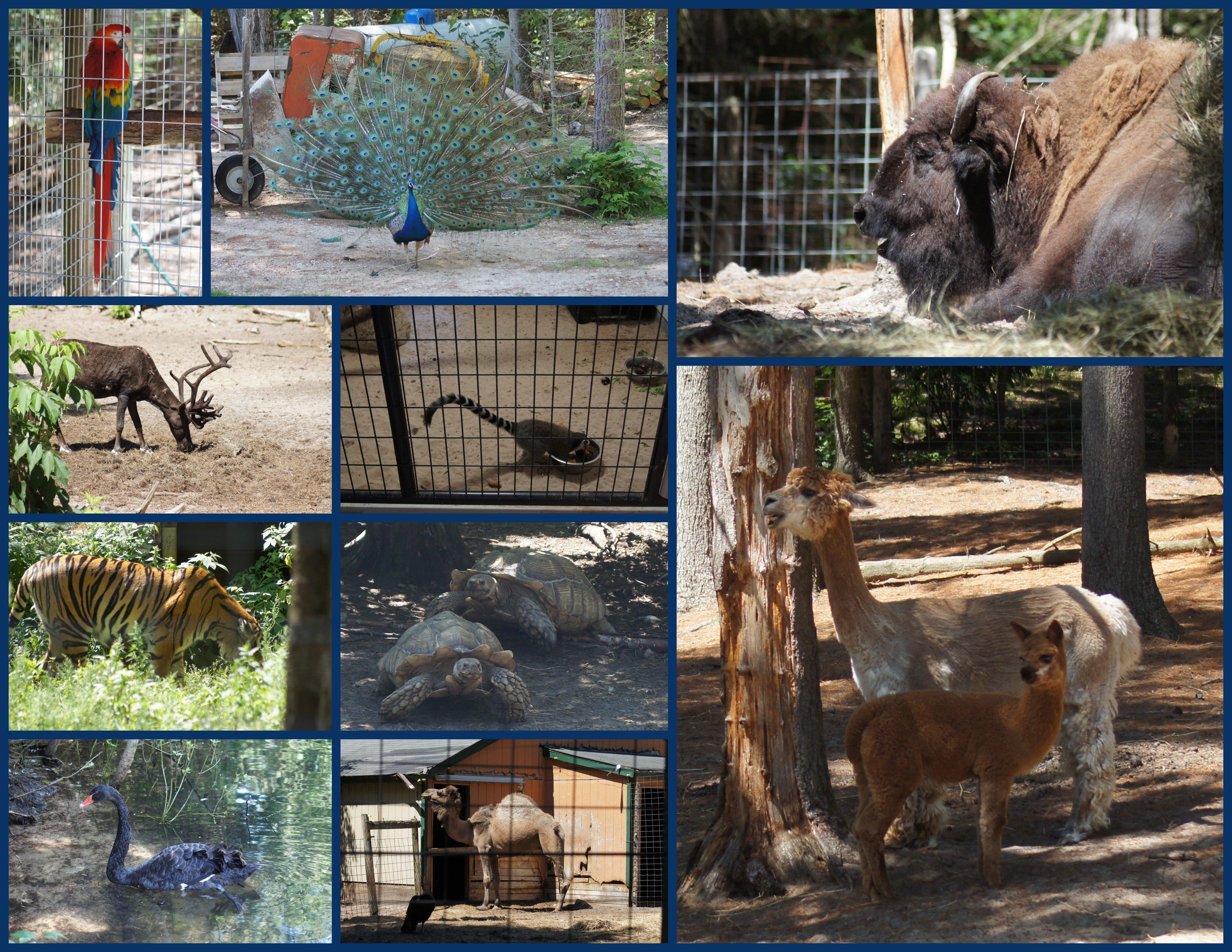 GarLyn Zoo Wildlife Park