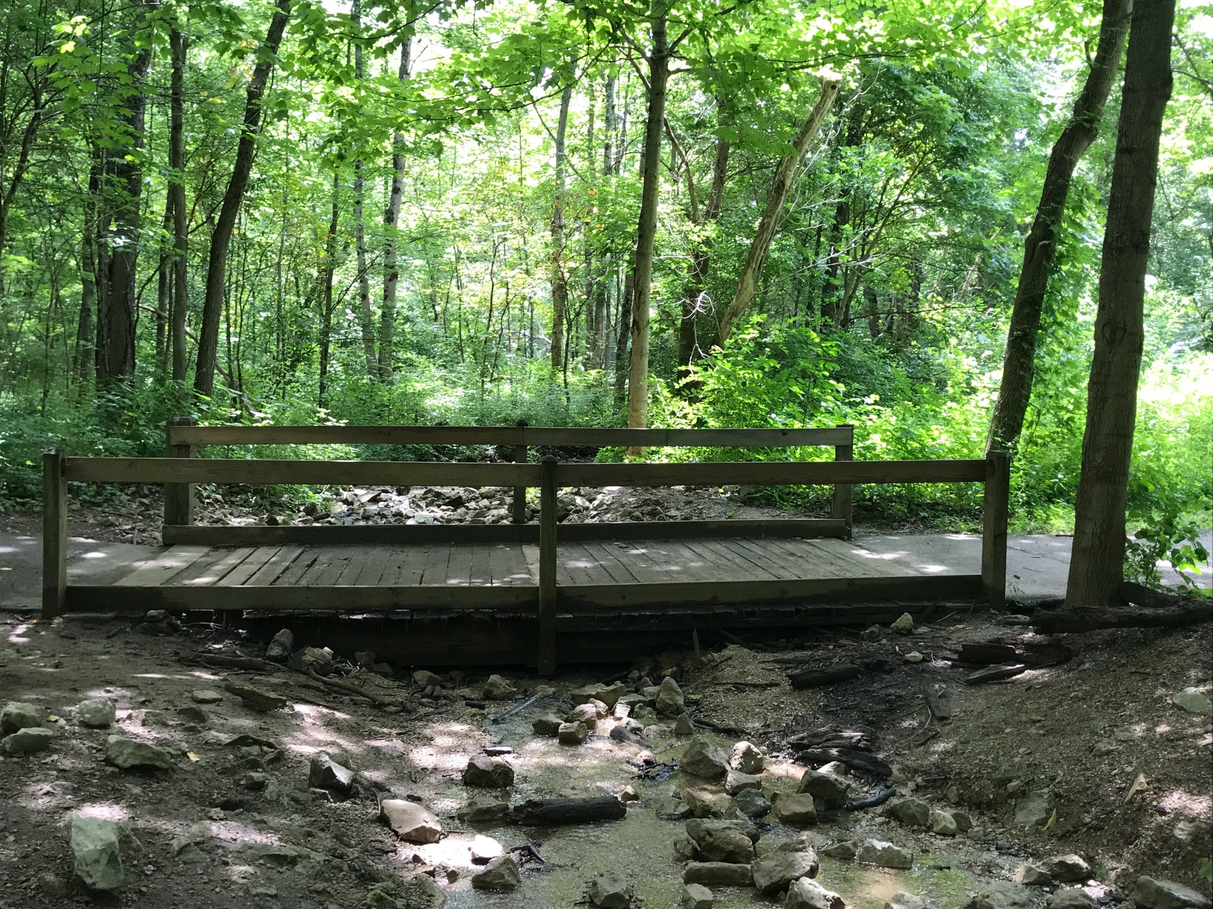 Photo by Islandgirl53