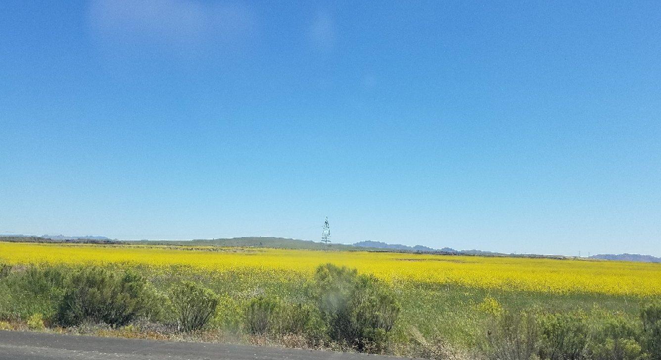 Frenchy's Field Park