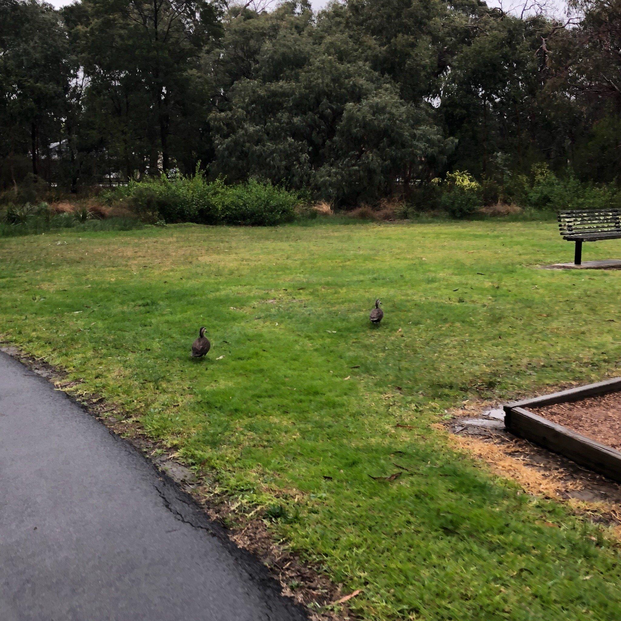 R.D. Egan Lee Reserve