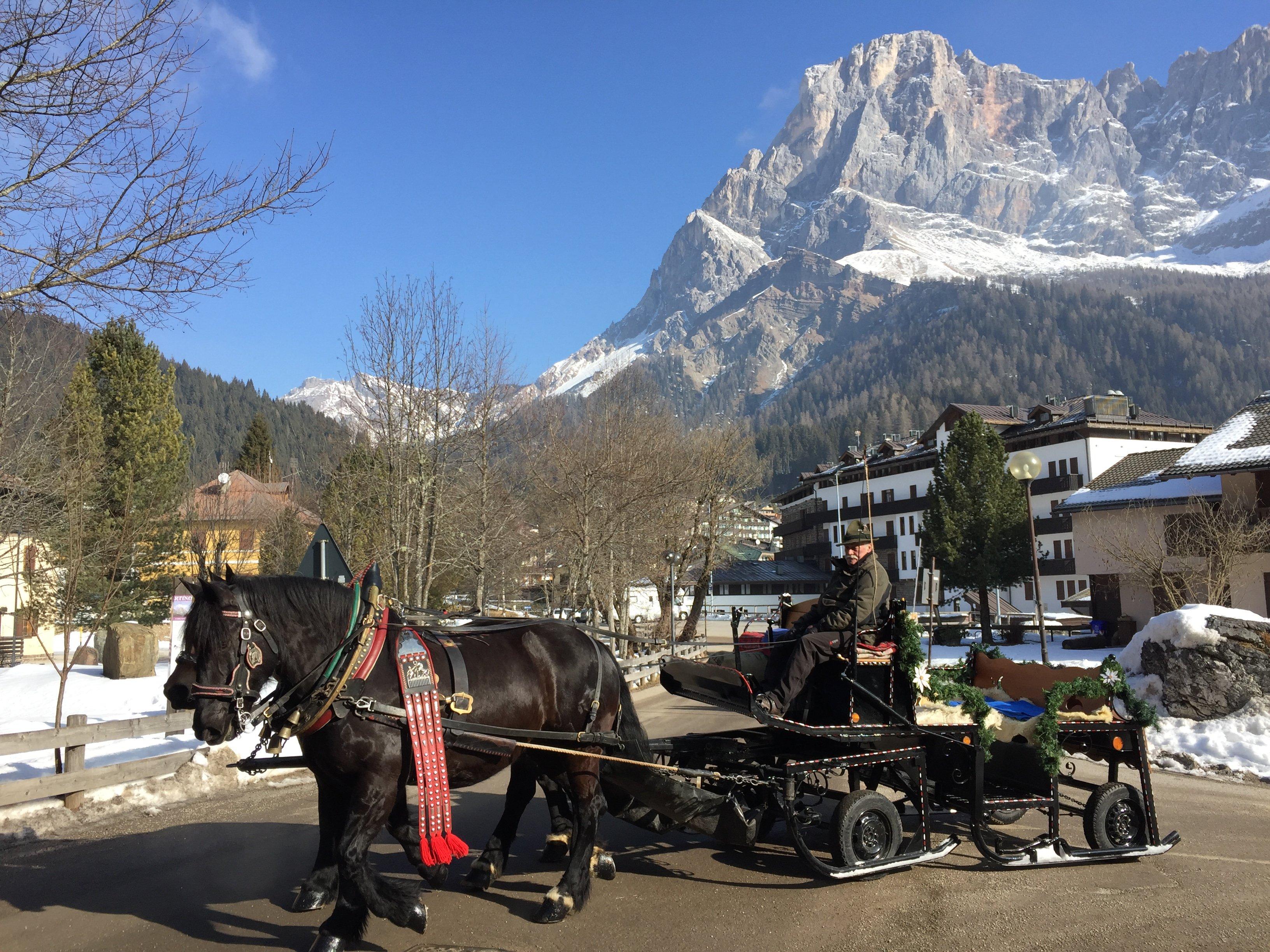 Romantic Tours On Carriage