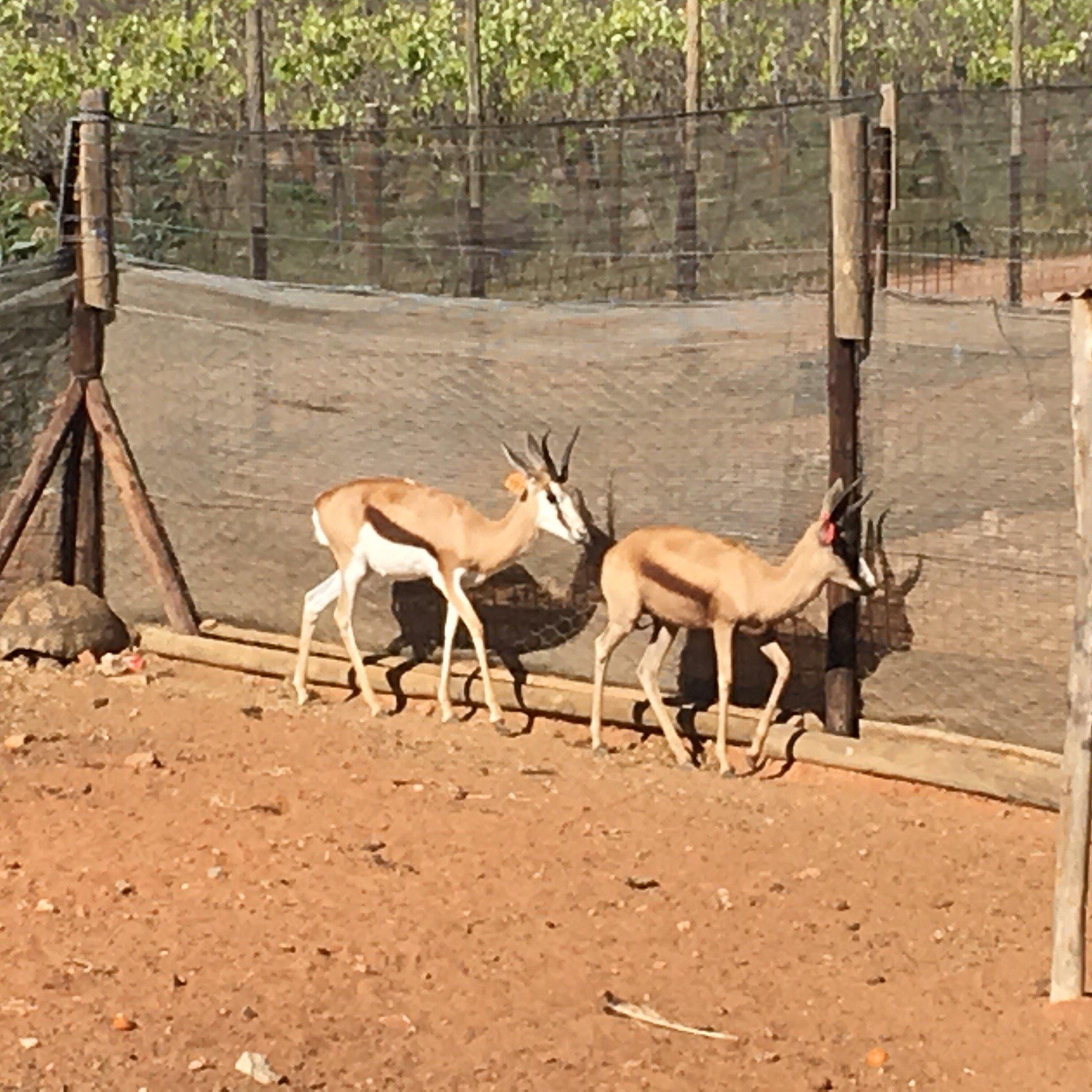 Maskam Brewing Company