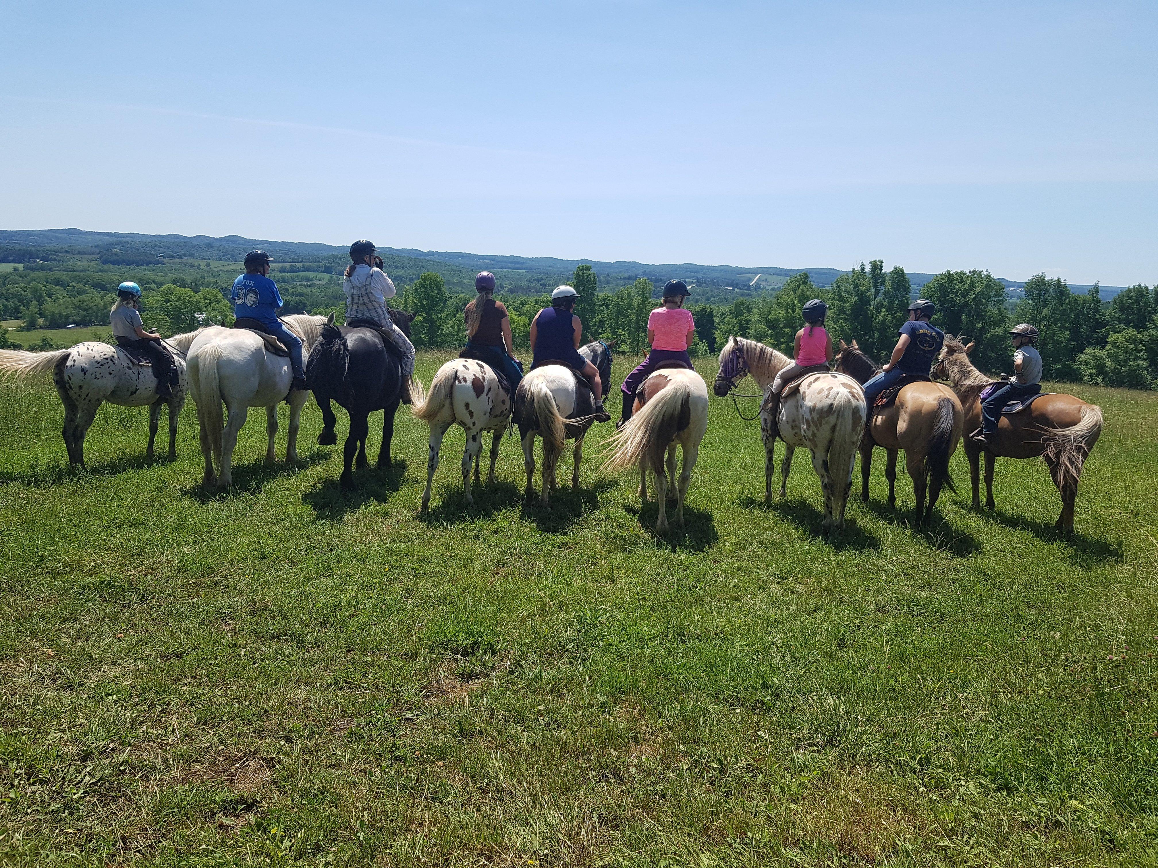 Windsong Horse & Carriage Ranch - Horseback Trail Rides