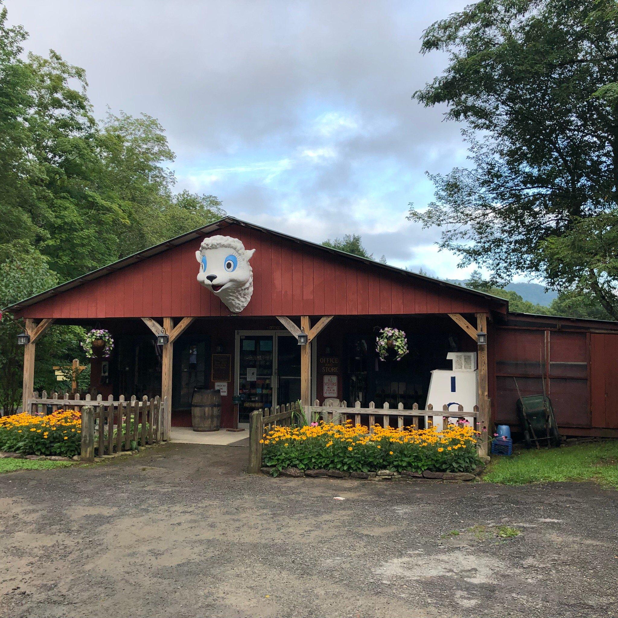 Russell Brook Campsites