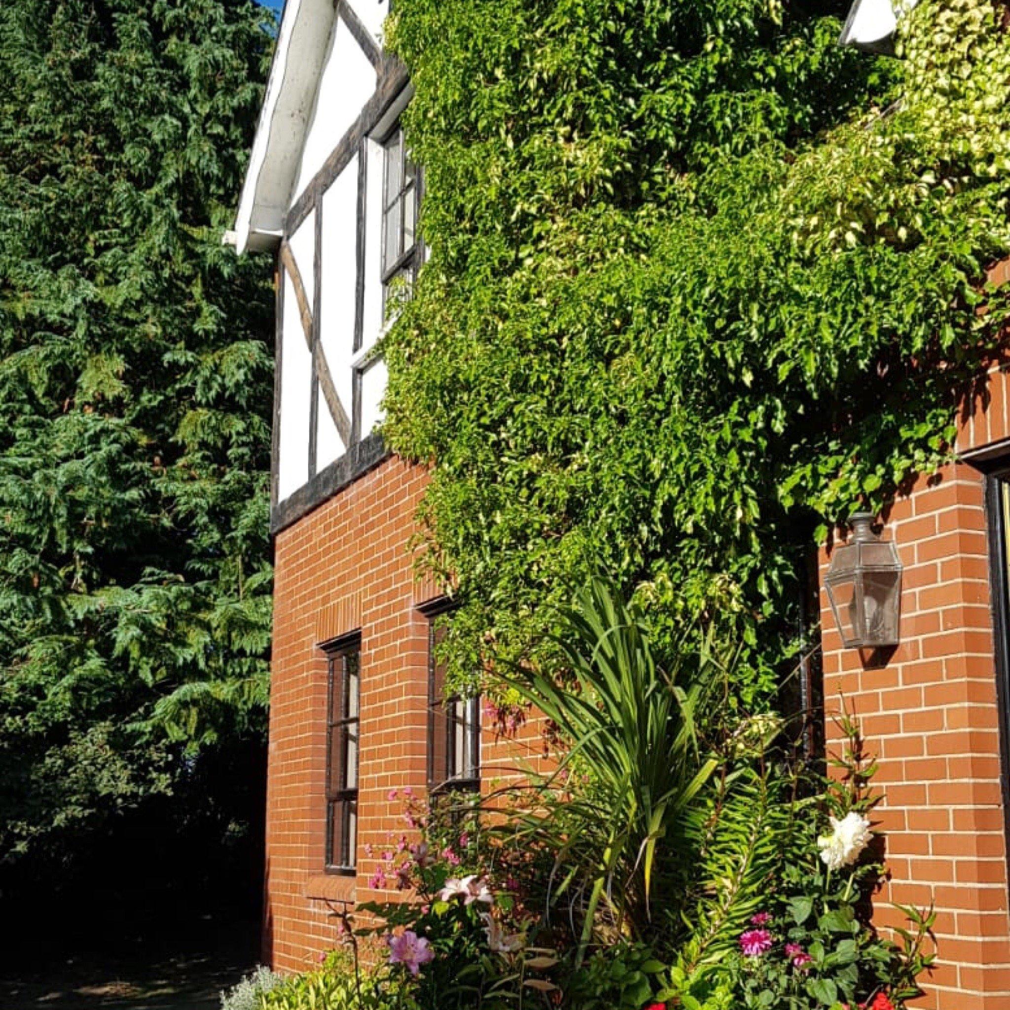 Pinewood Lodge Bed and Breakfast