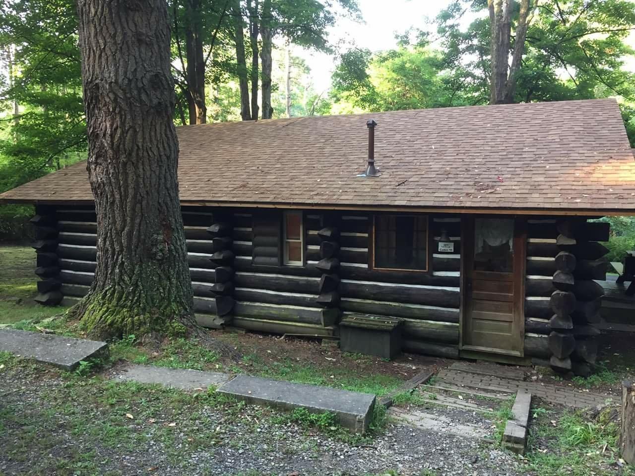 Cook Riverside Cabins