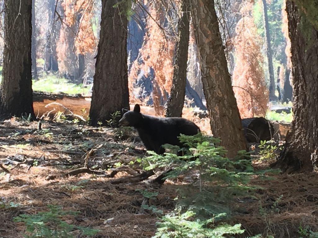 Photo by Harrison-F-Carter