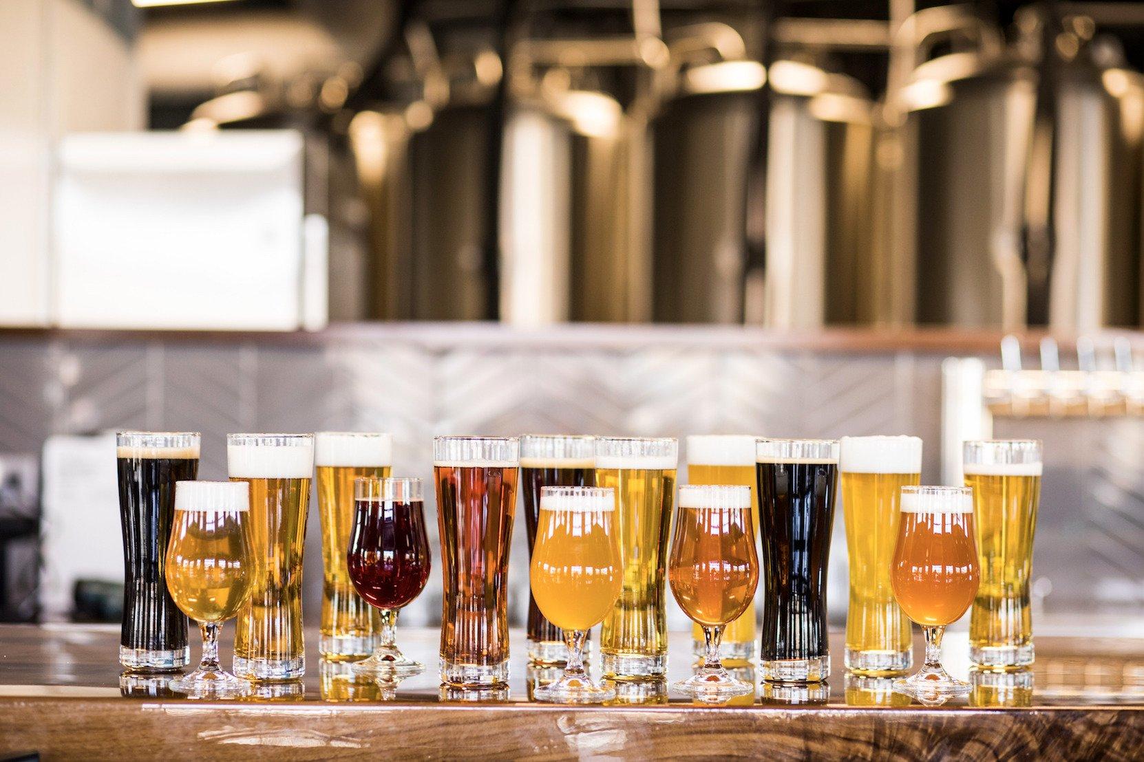 Venn Brewing