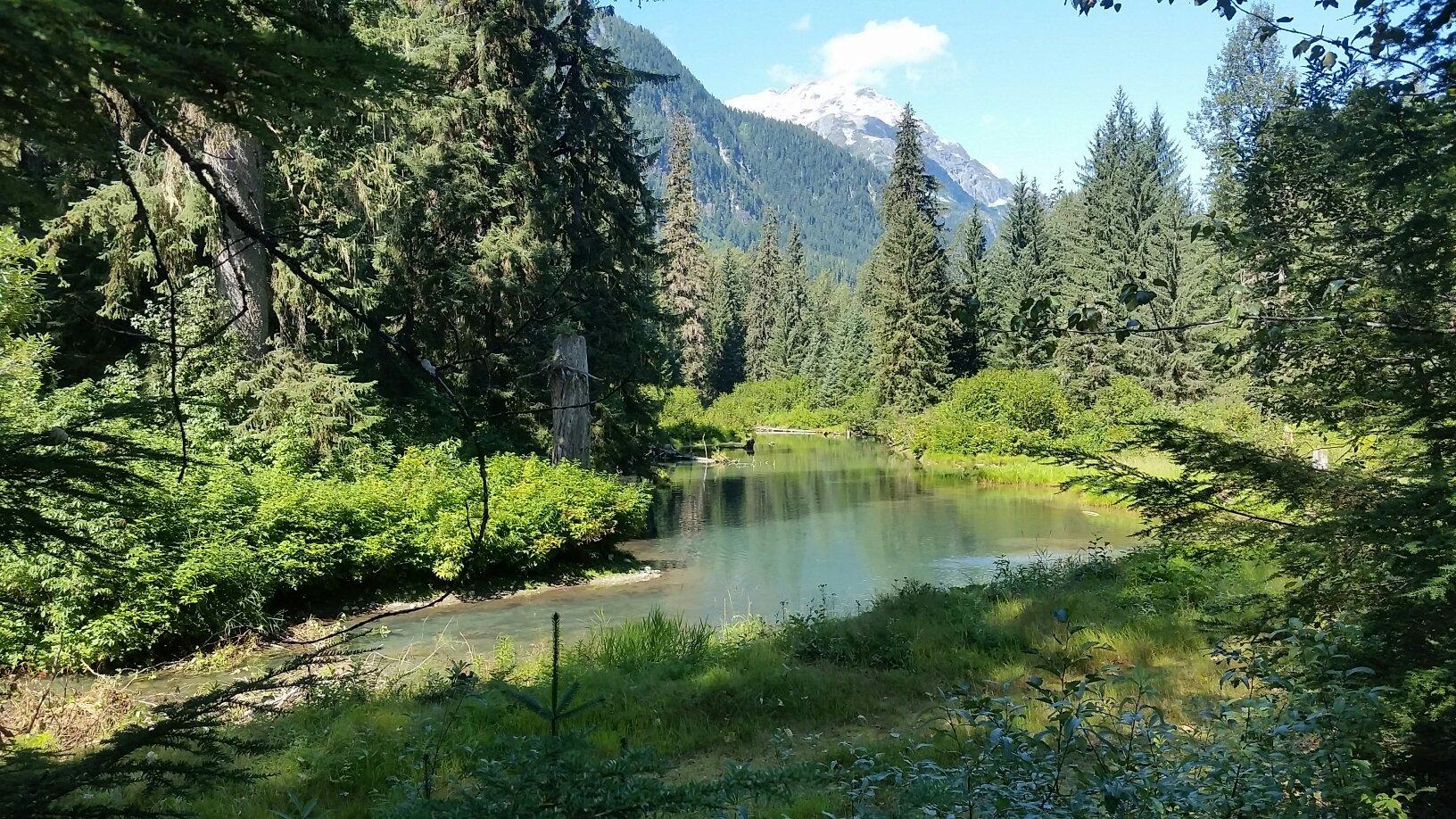 Fish Creek Wildlife Observation Site
