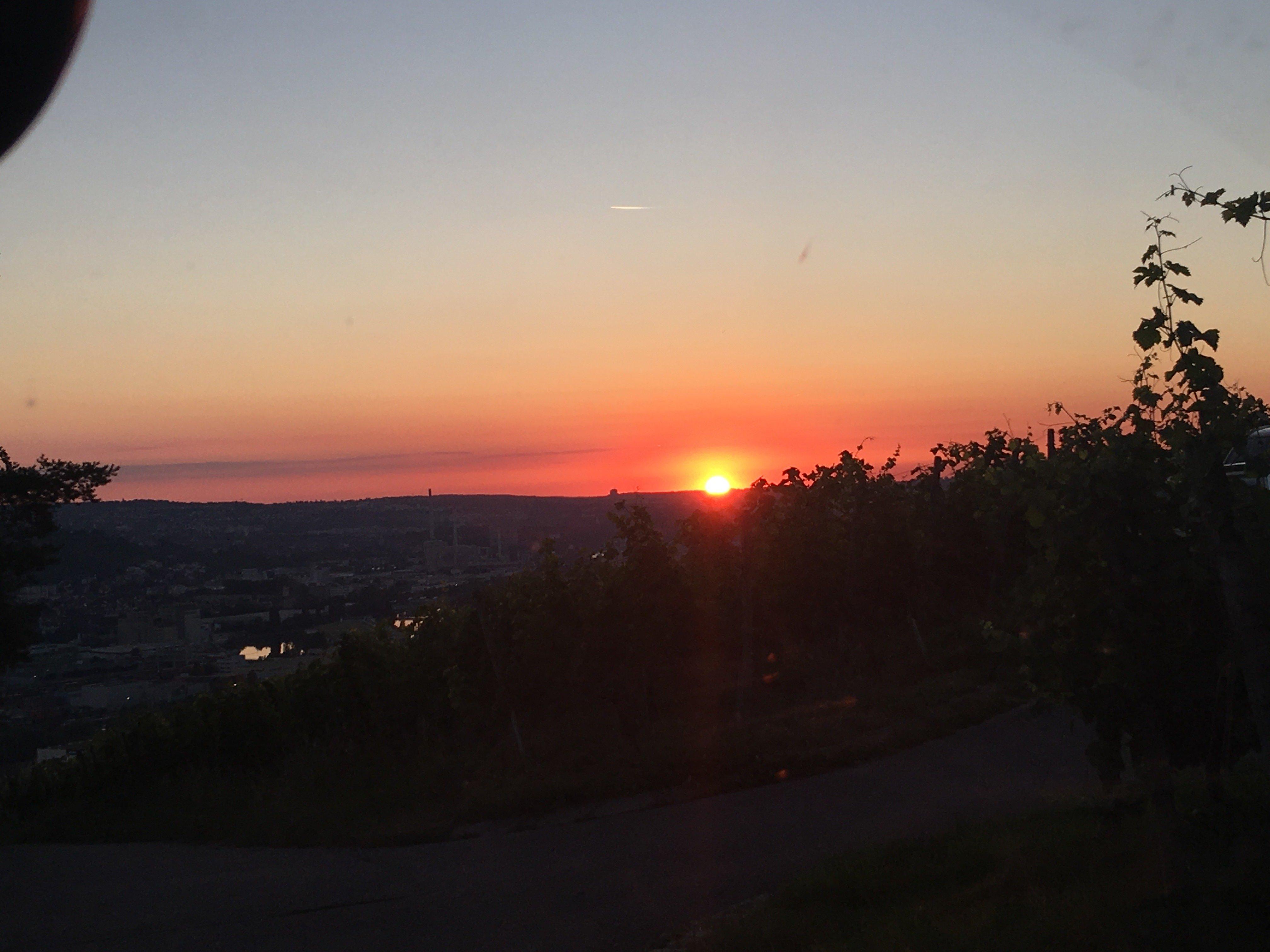 Pandoro`s Jausenschenke