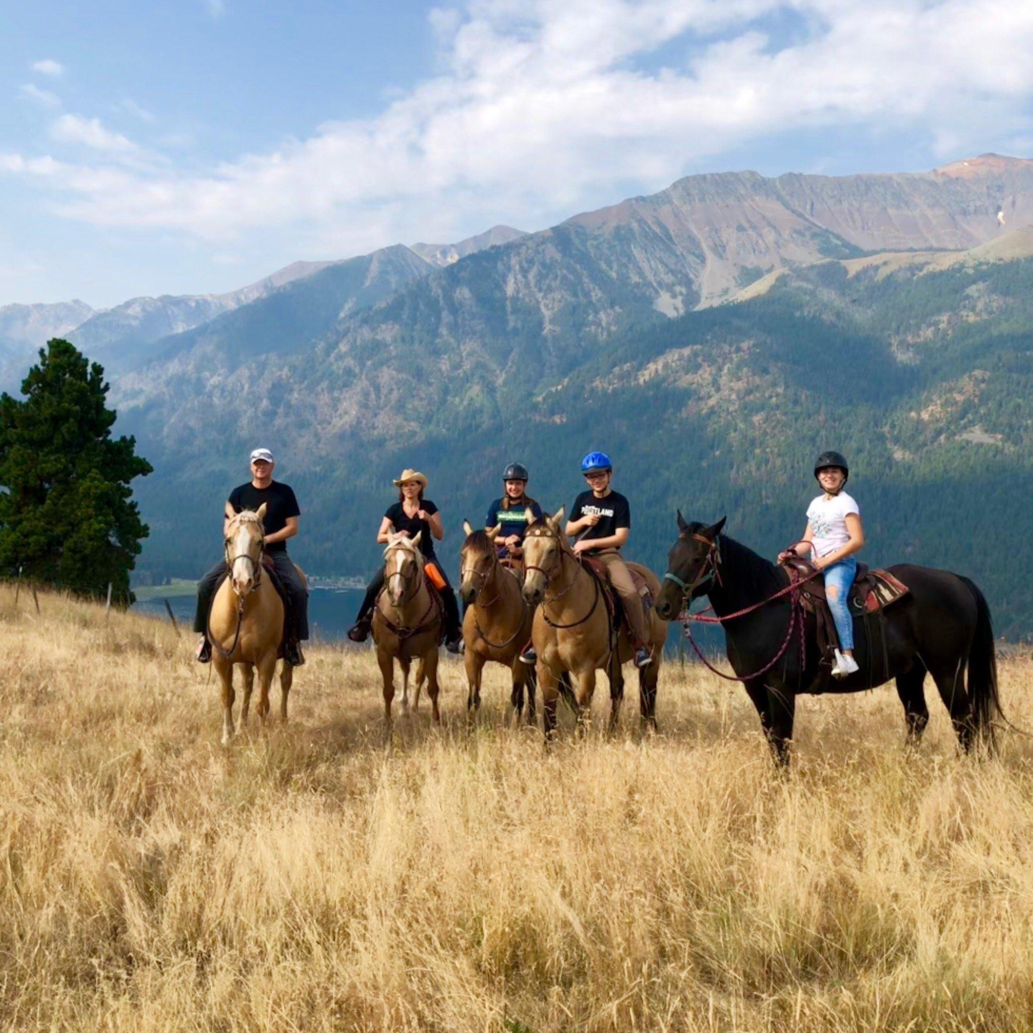 Dun The Right Way Horses