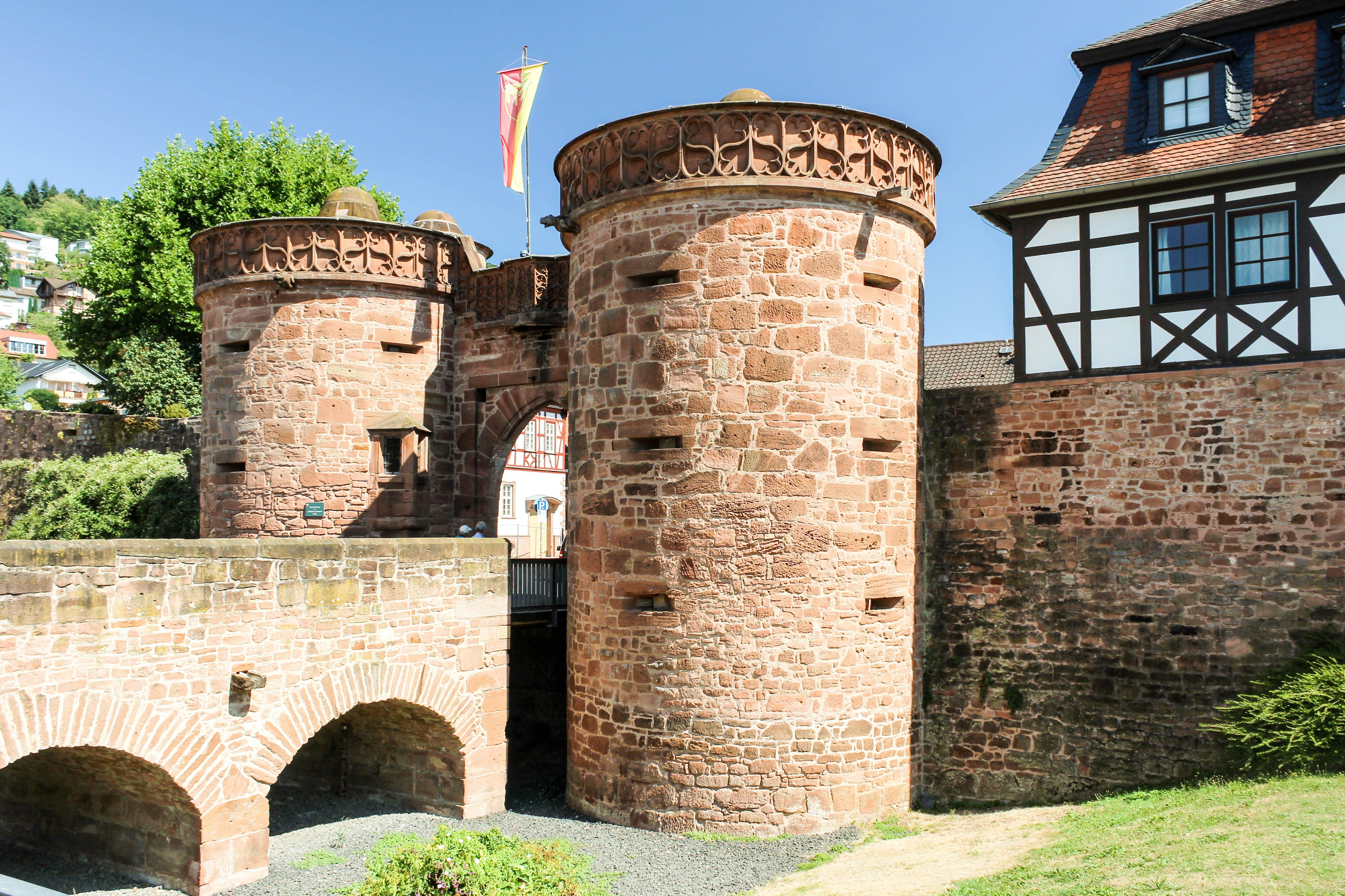 Sandrosenmuseum Buedingen