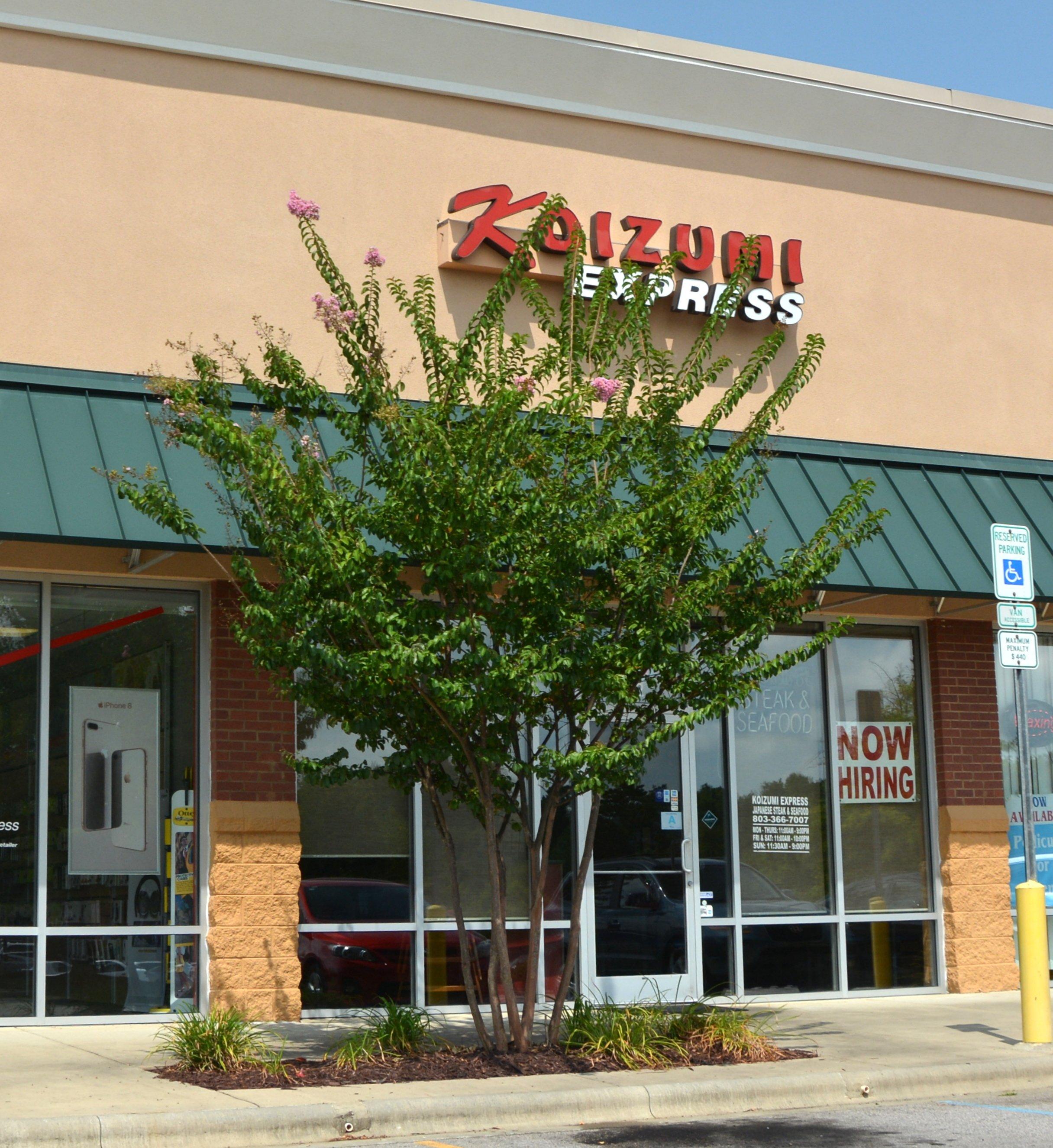 Photo by LKNCHOWHOUND