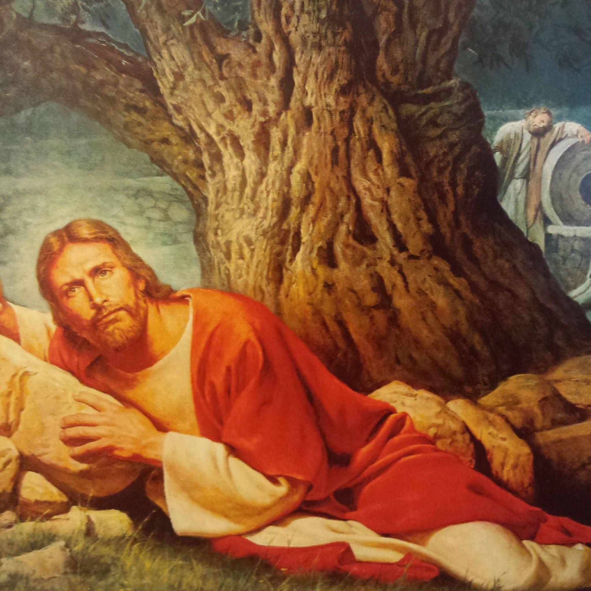 Photo by robertbC8382SK