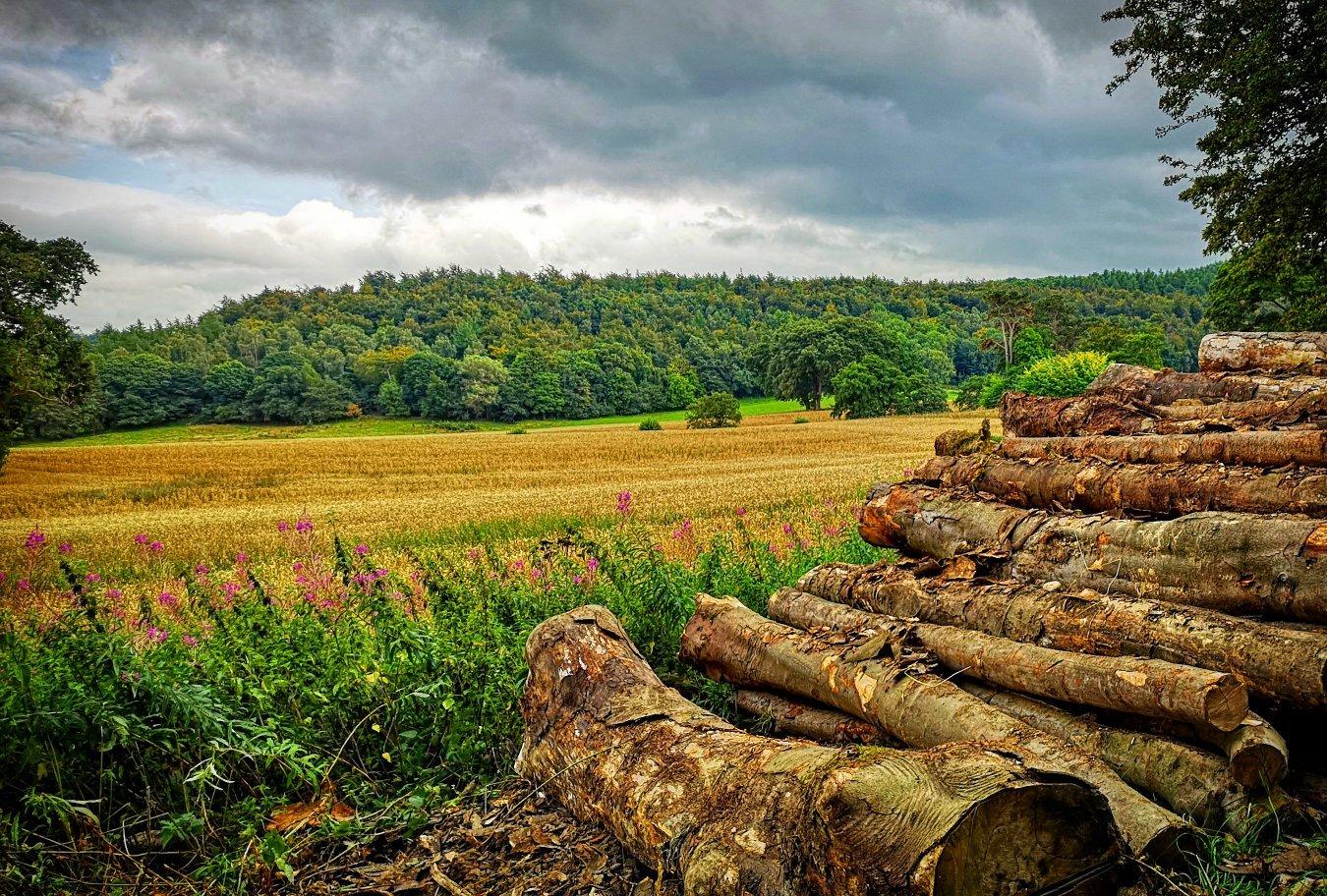 Guisborough Forest & Walkway Visitor Centre