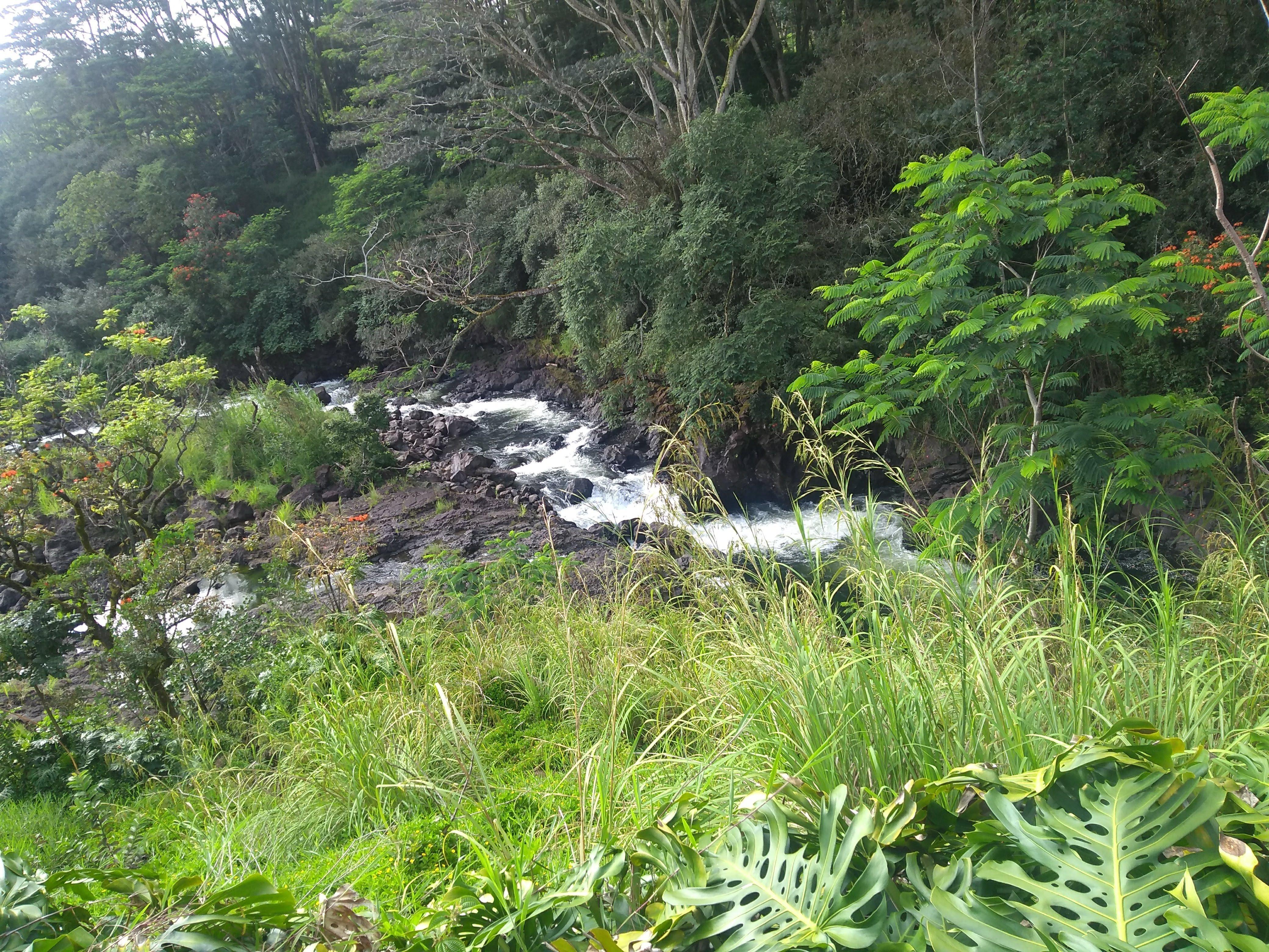 Photo by X7964NYarunk