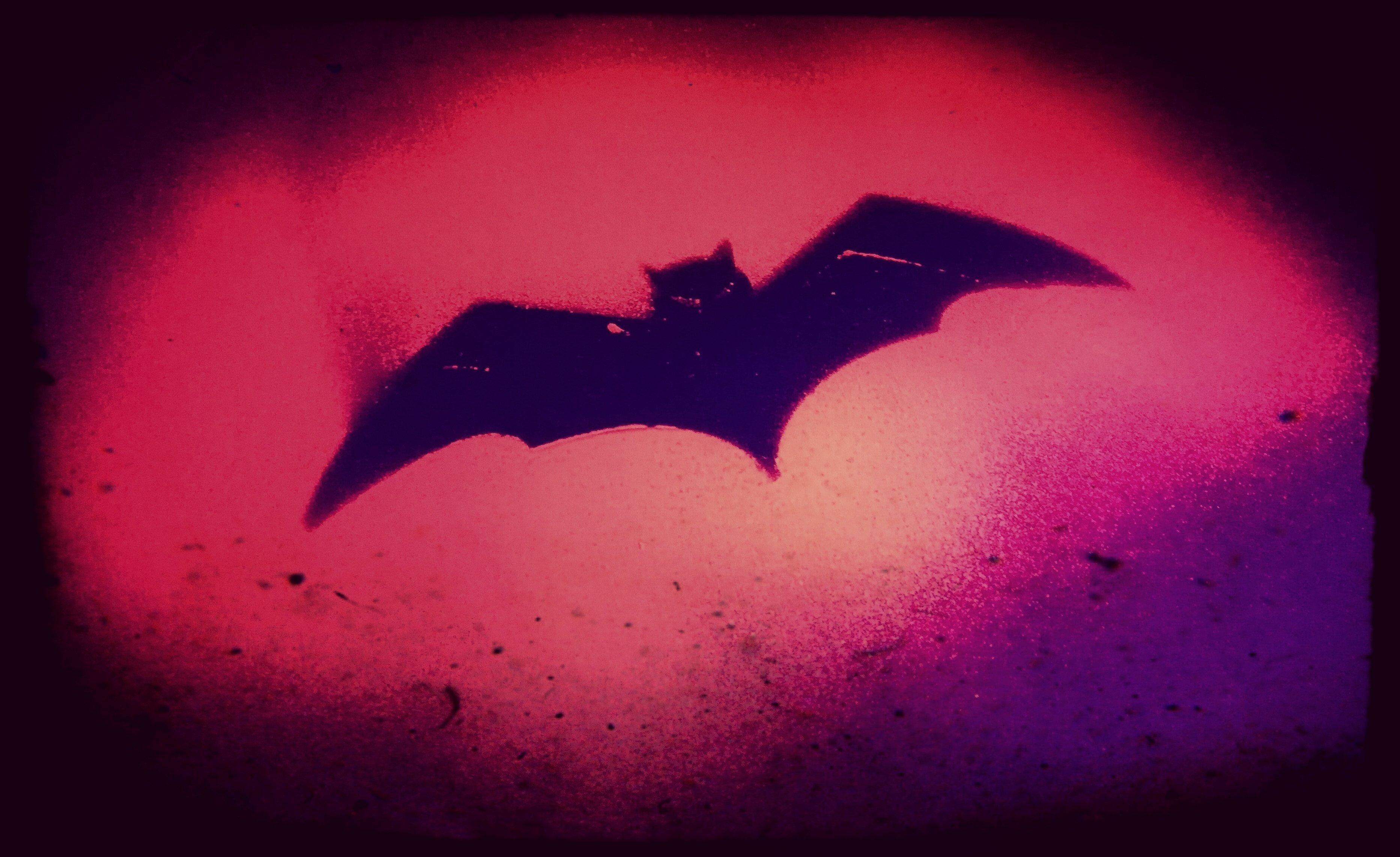 Lock Ness Strefa Zagadek