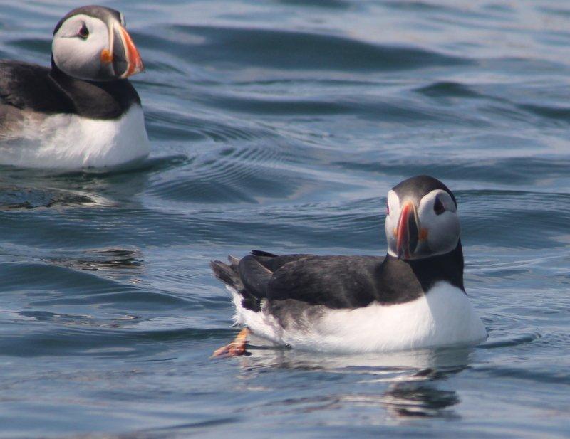 Photo by Flyer794762