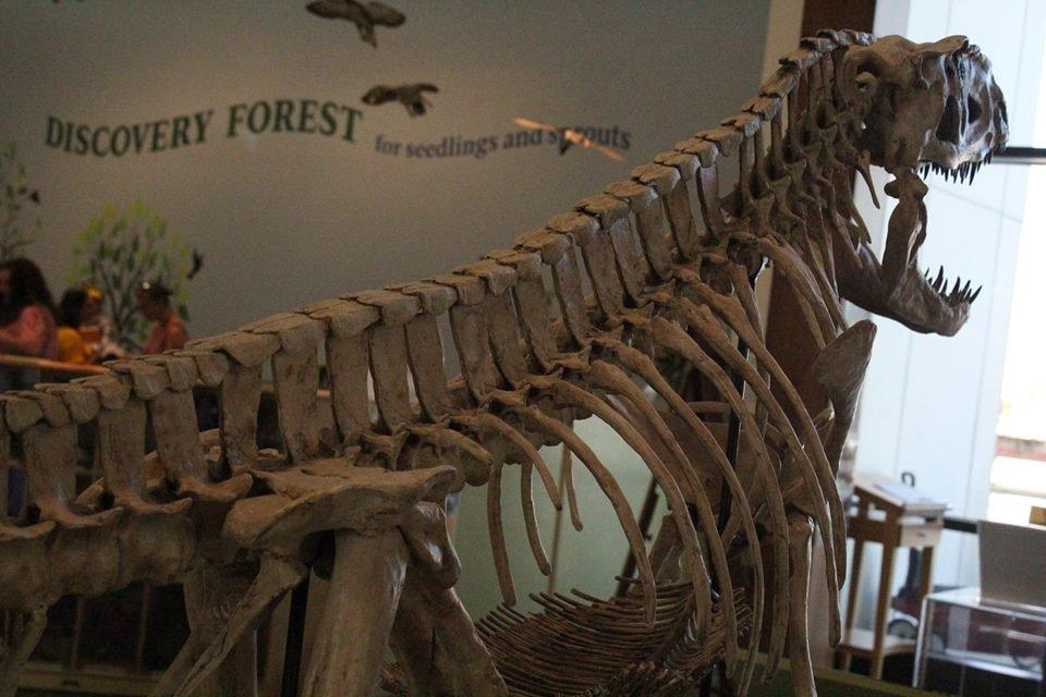North Carolina Museum of Natural Sciences at Whiteville
