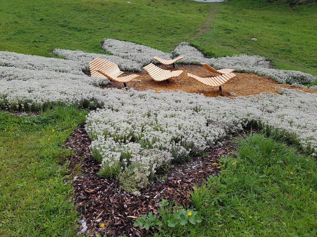 Senn's Wonder Walking Trail