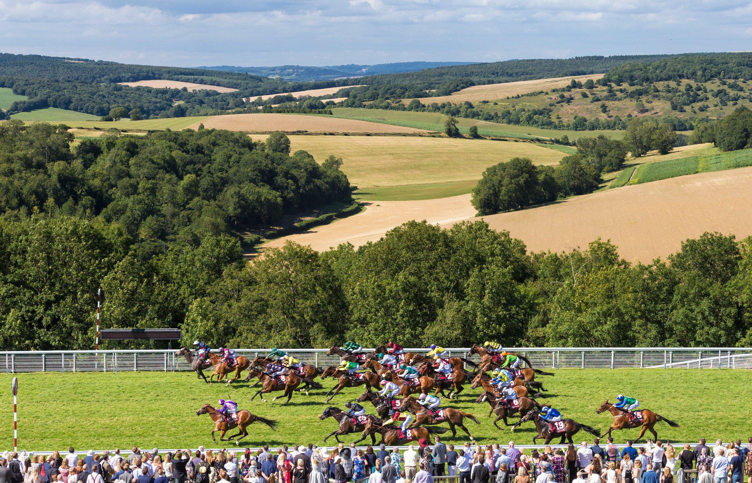 Goodwood Racecourse