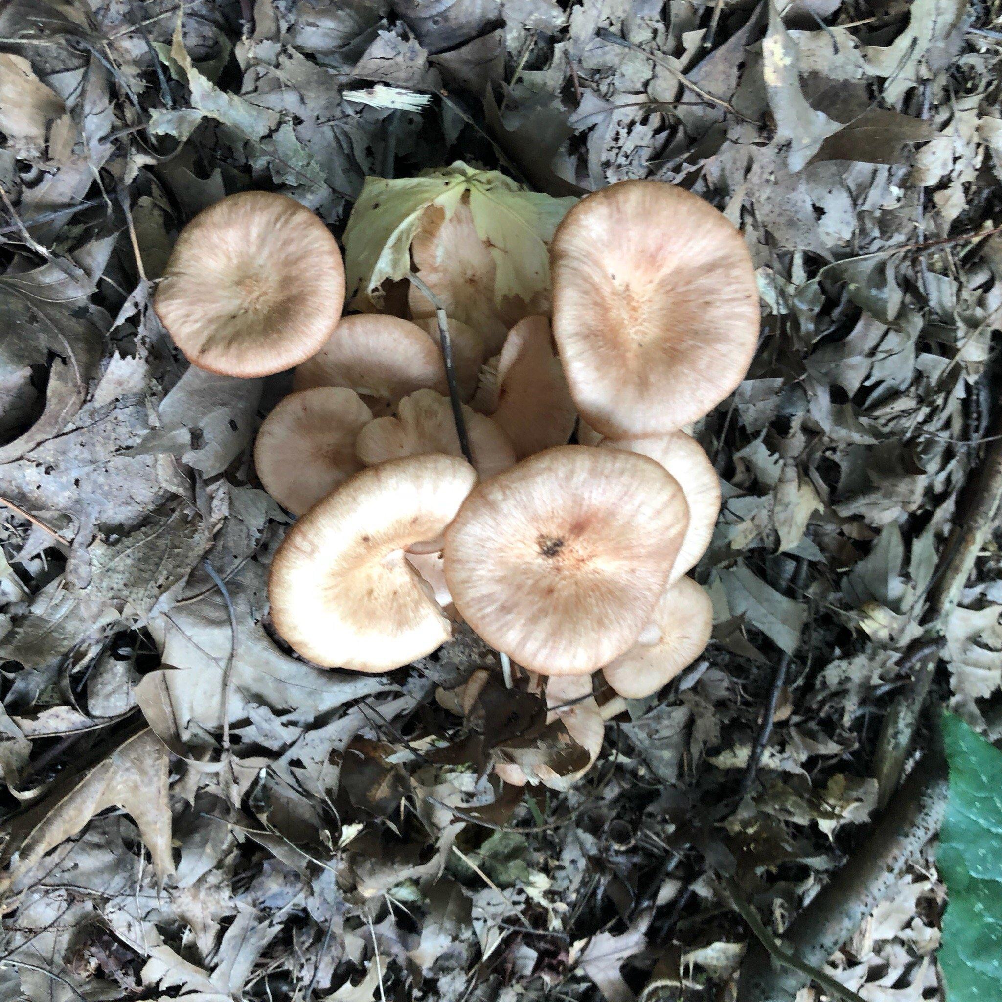 Photo by Maegan11670