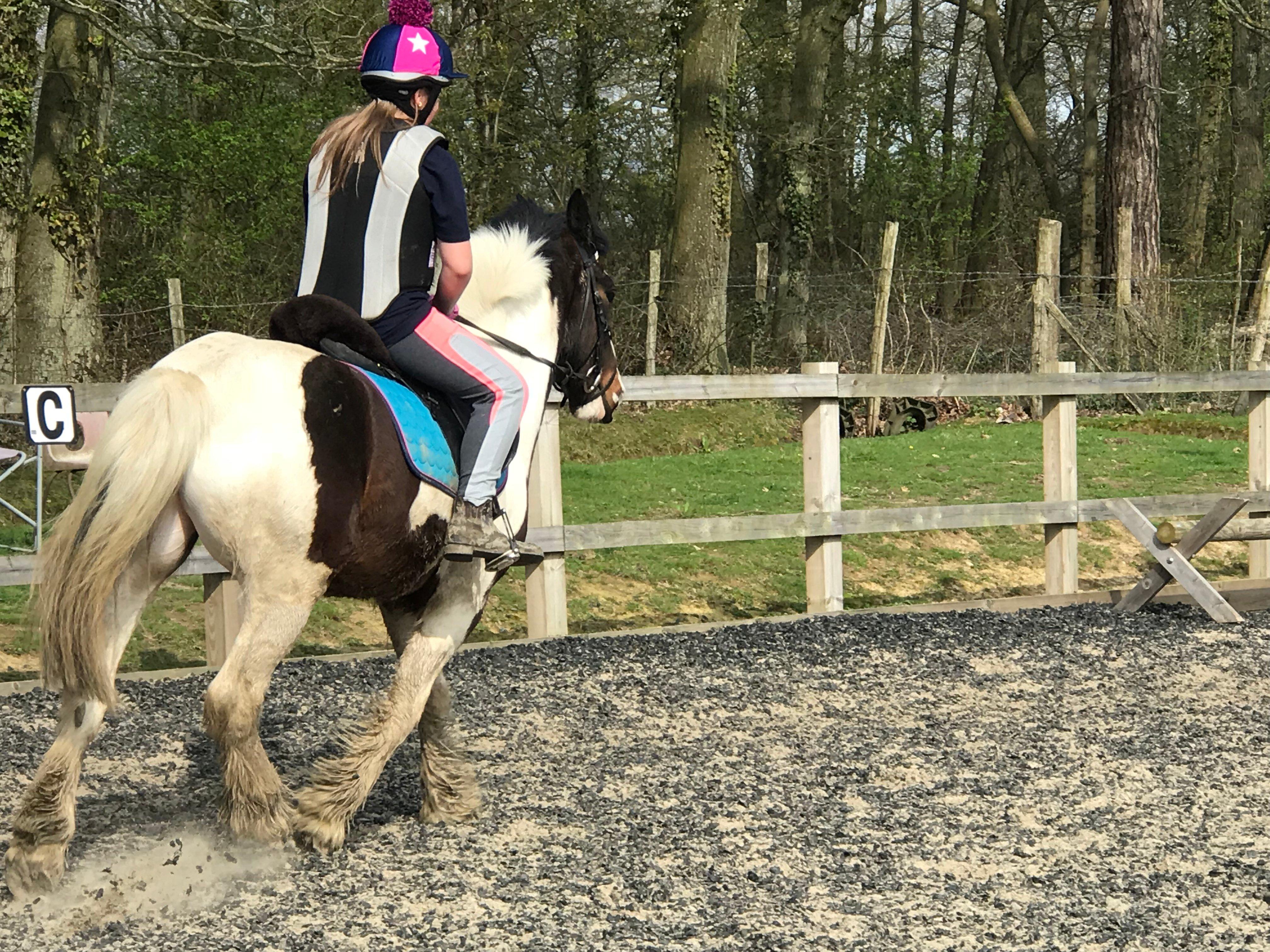 Cuckoo Riding Centre