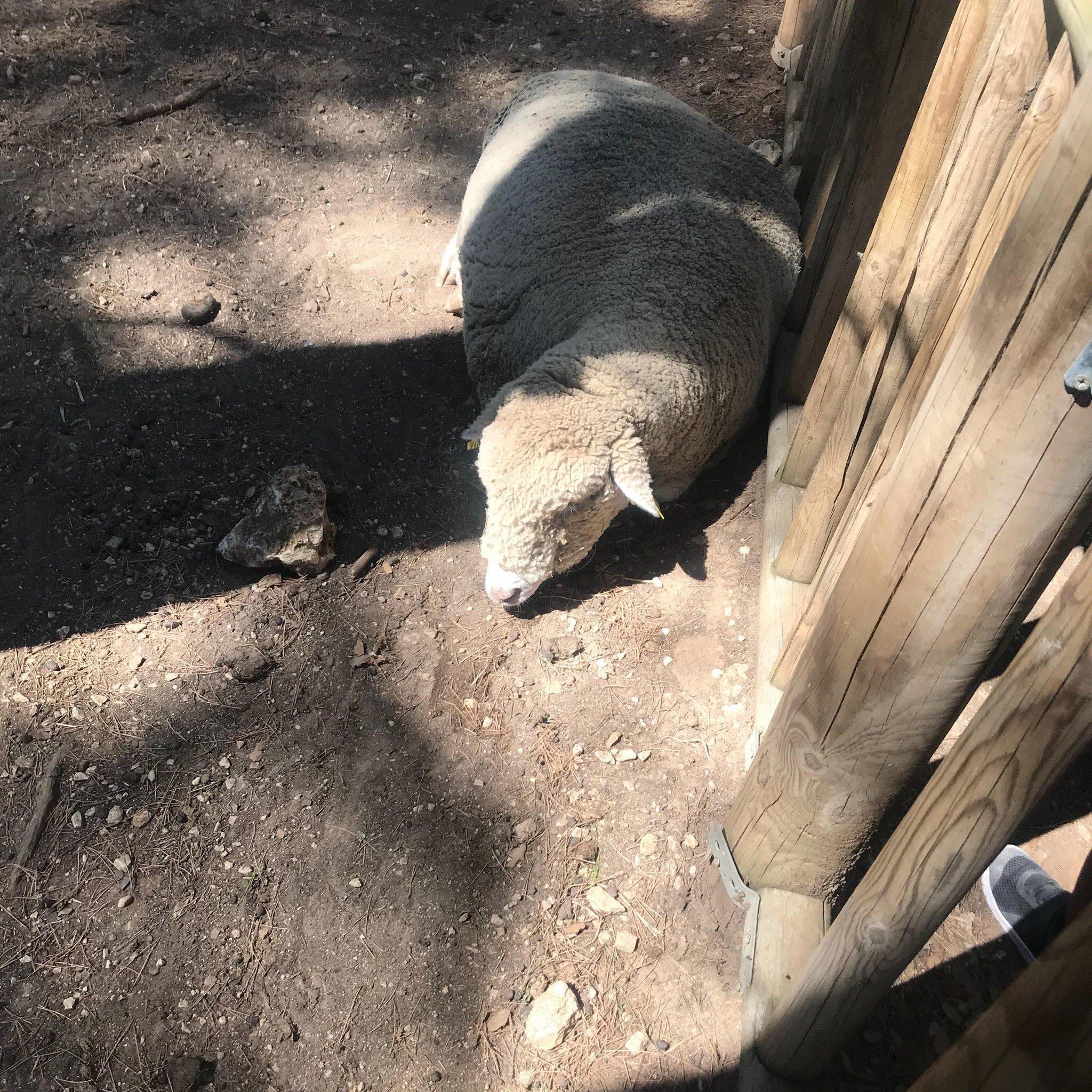 Le Village des Automates