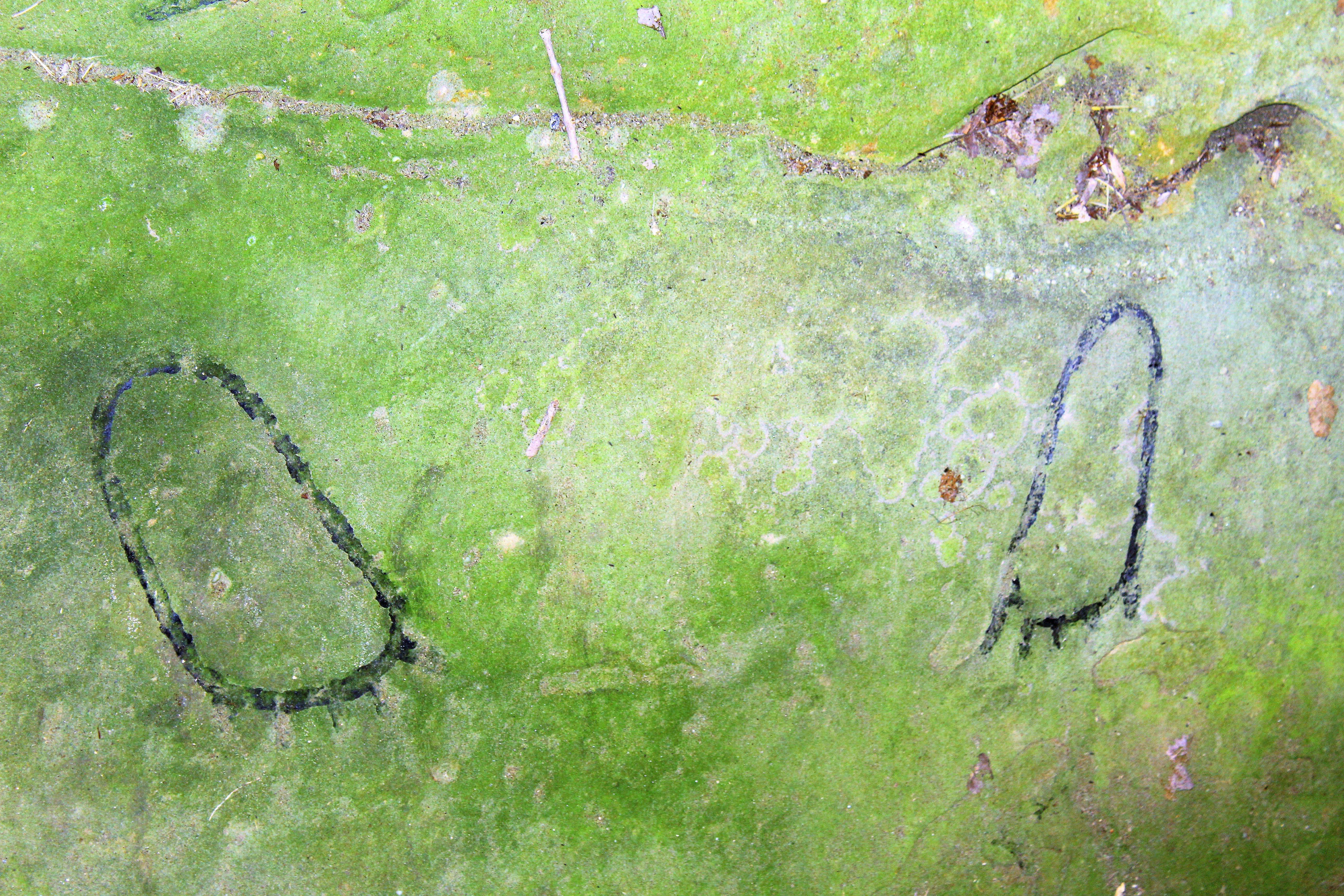 Photo by TravelAddict1959